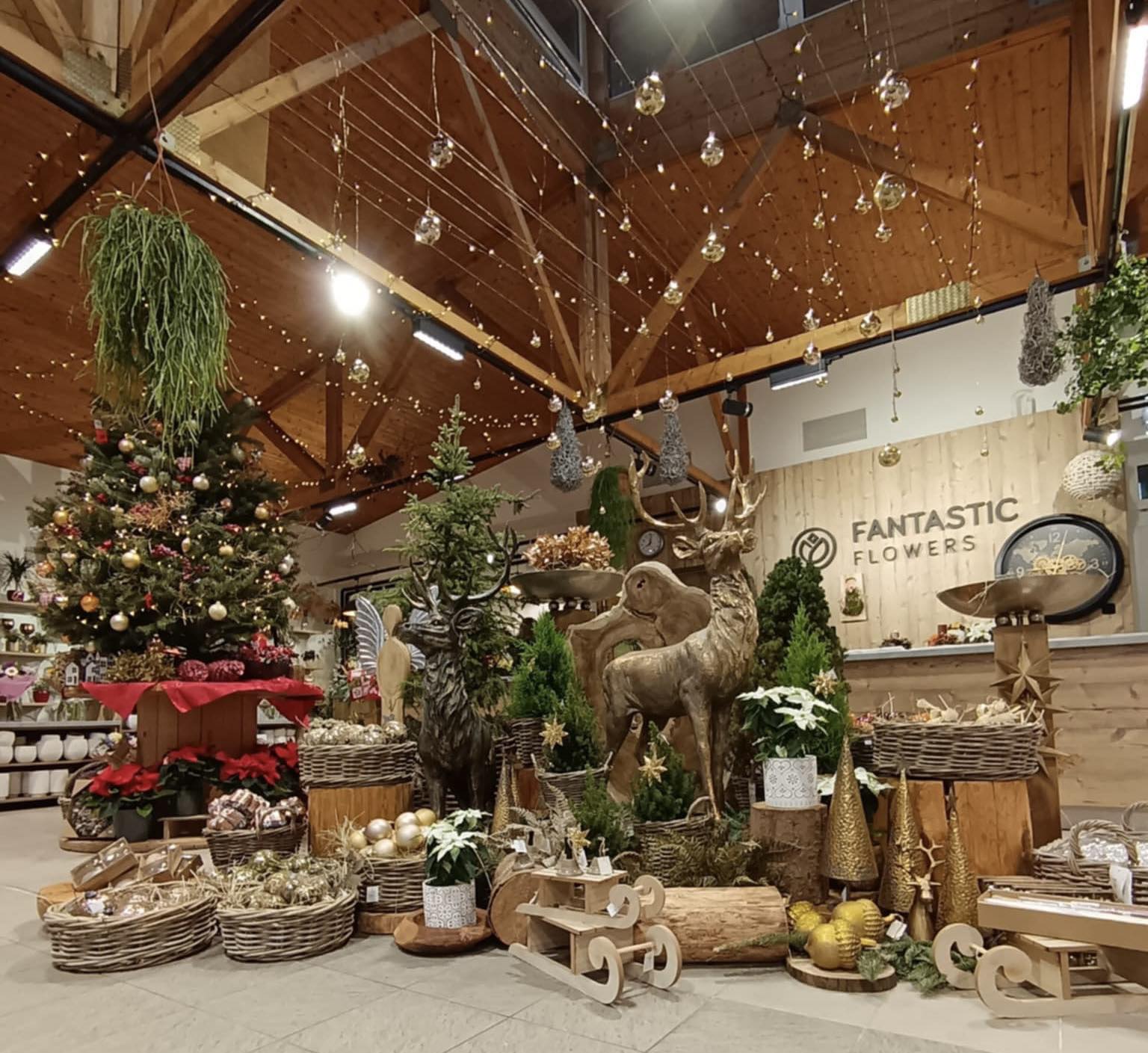 Fantastic Flowers Zahradnictví foto 3