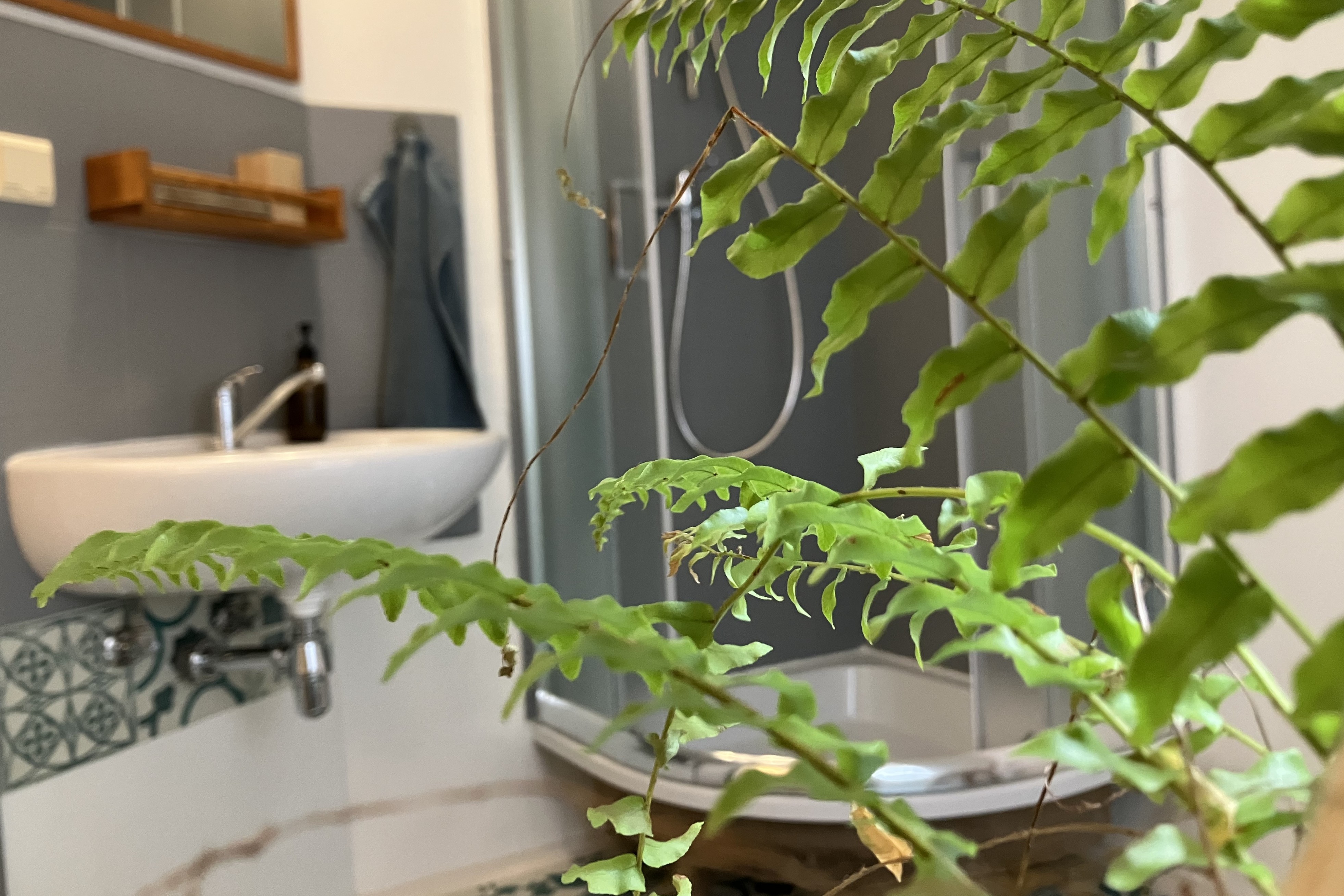 Malé Labe - ubytování v Krkonoších foto 2