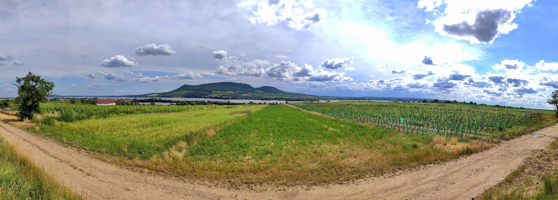 PENZION KNÁPEK STRACHOTÍN foto 4