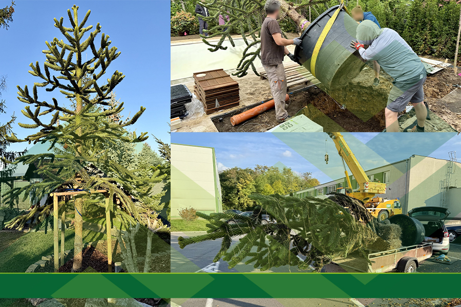 Od balíčku po kamion