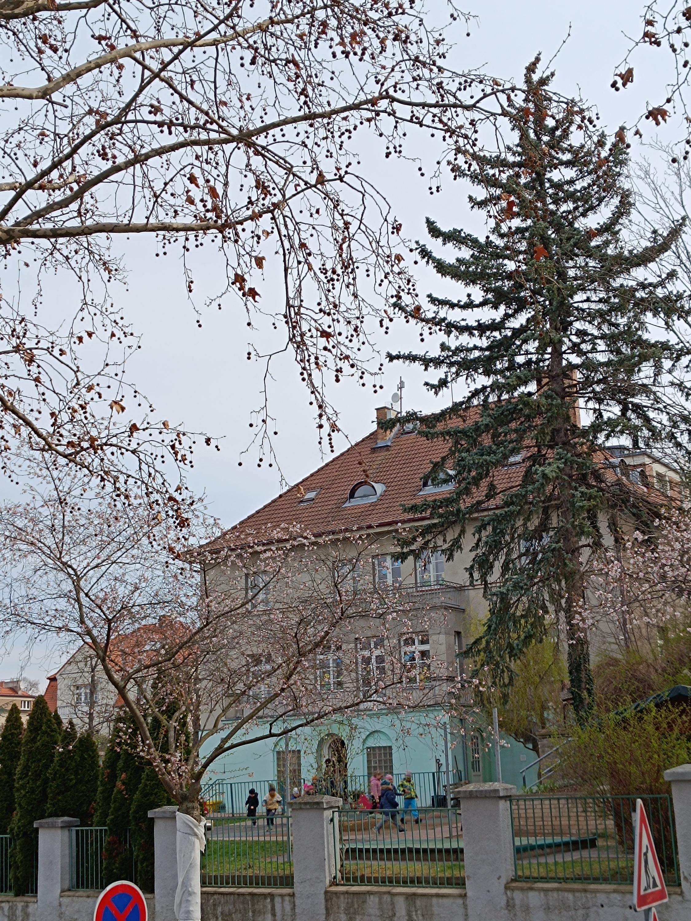 Mateřská škola, Praha 4, Voráčovská 2 foto 2