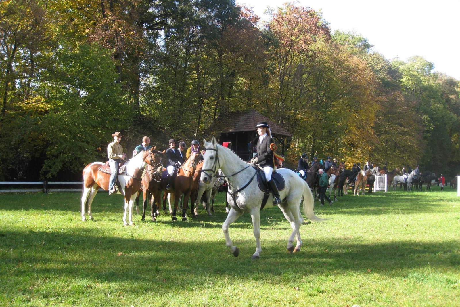 Jezdecký klub ELIOT