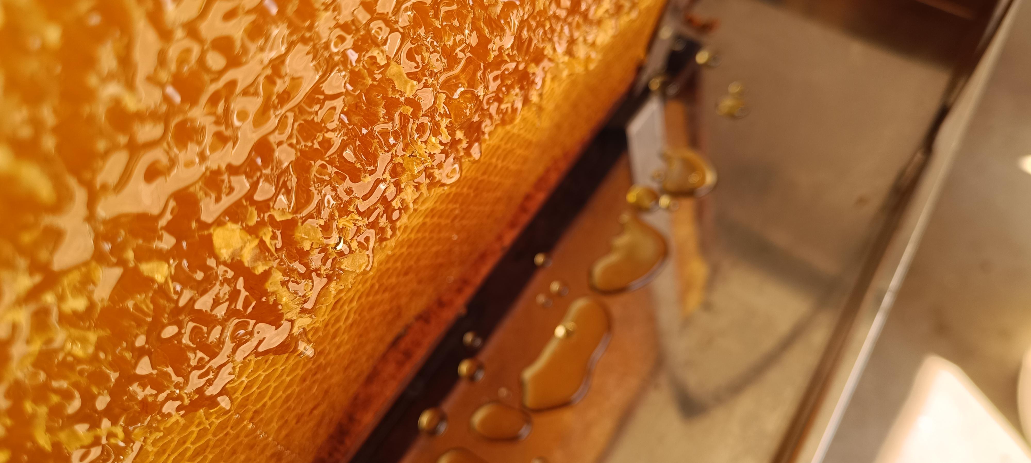 Med od Jedličků foto 2