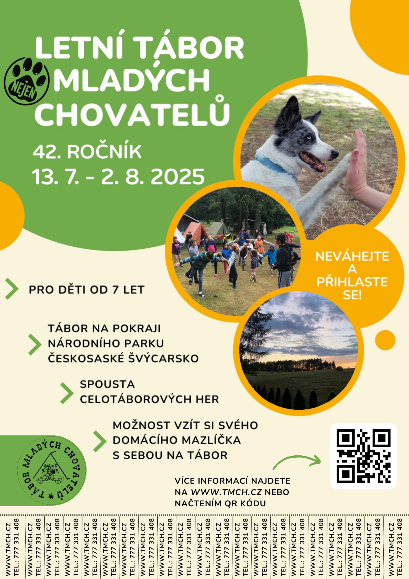 Chovatelé koček Praha 8 foto 3