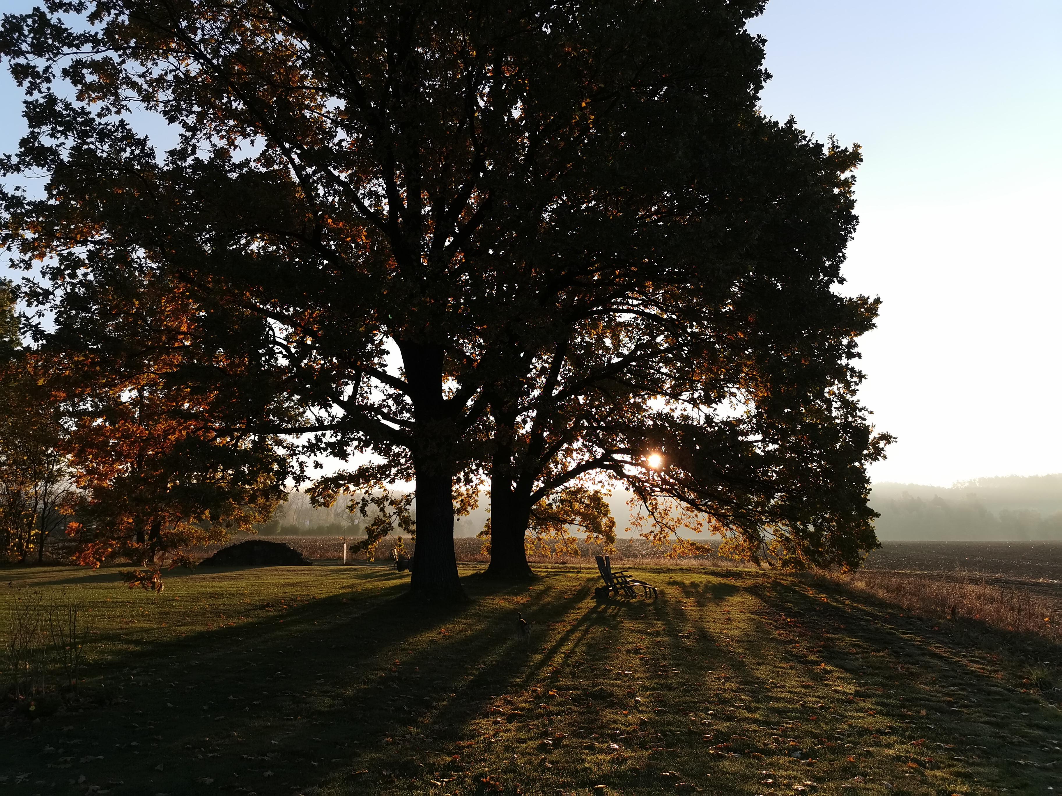 Apartmán MEZI DUBY foto 6