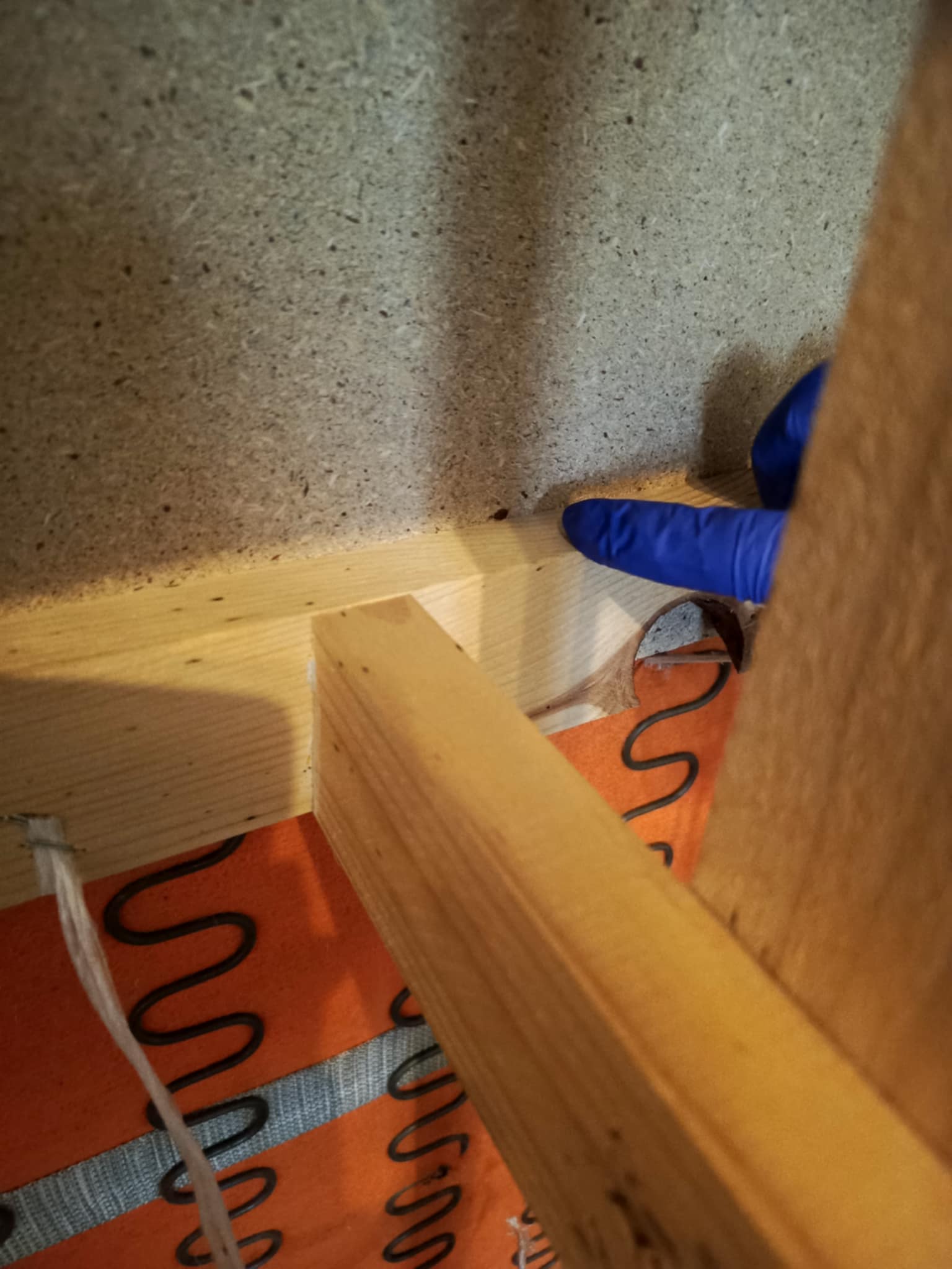 Kissderatizace foto 3