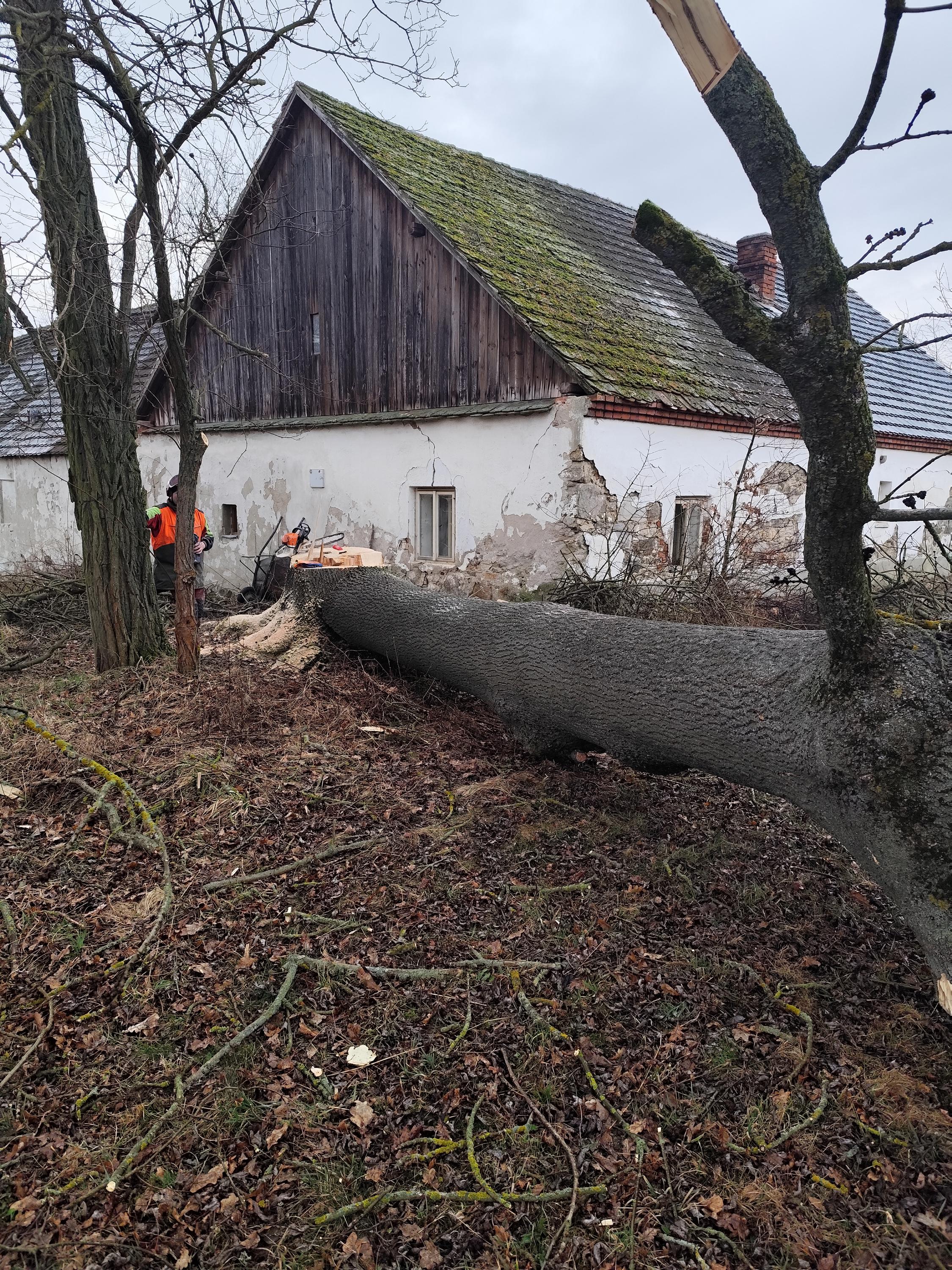 Rizikové kácení Vlastimil Kovář a spol. foto 3