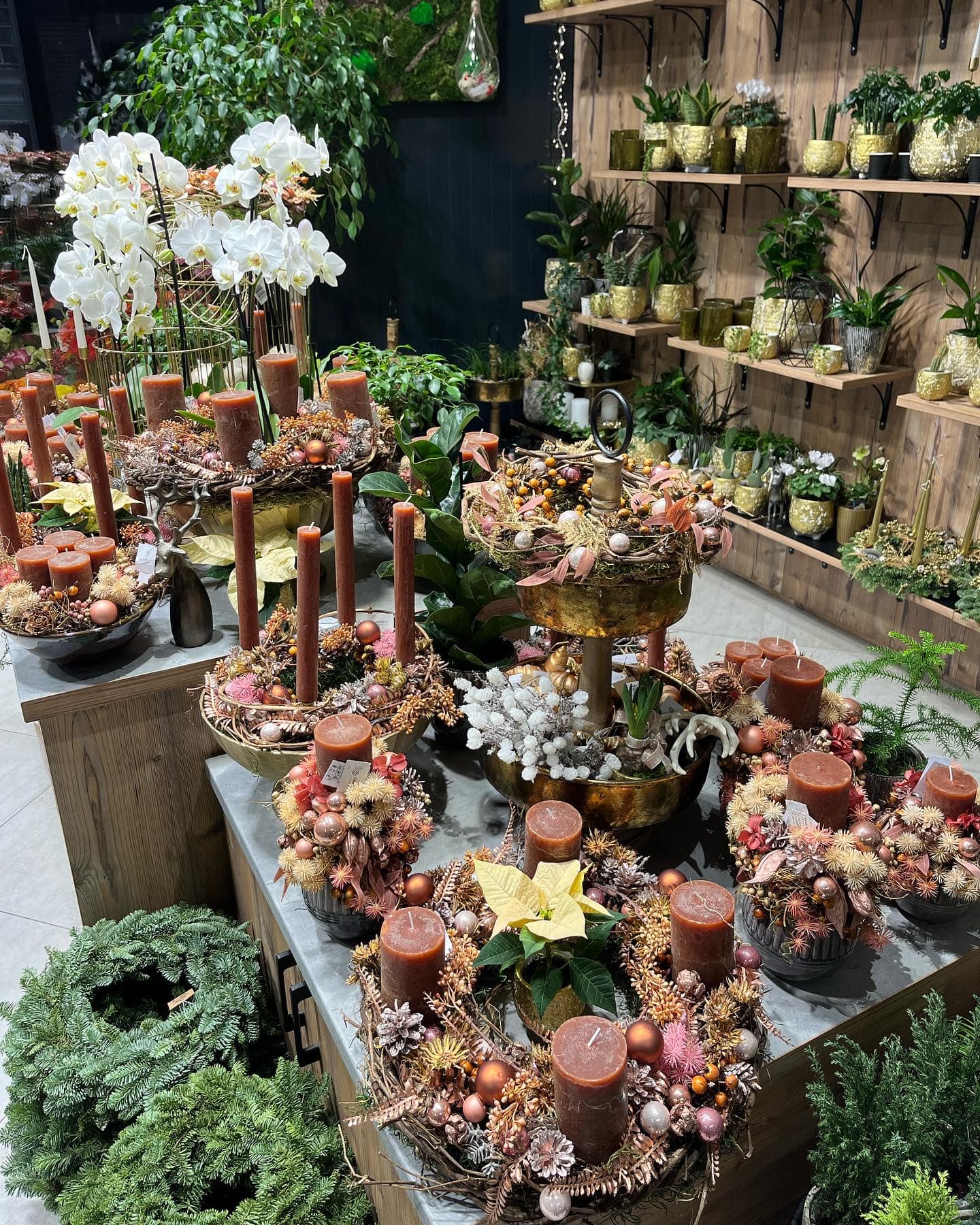 Fantastic Flowers foto 2