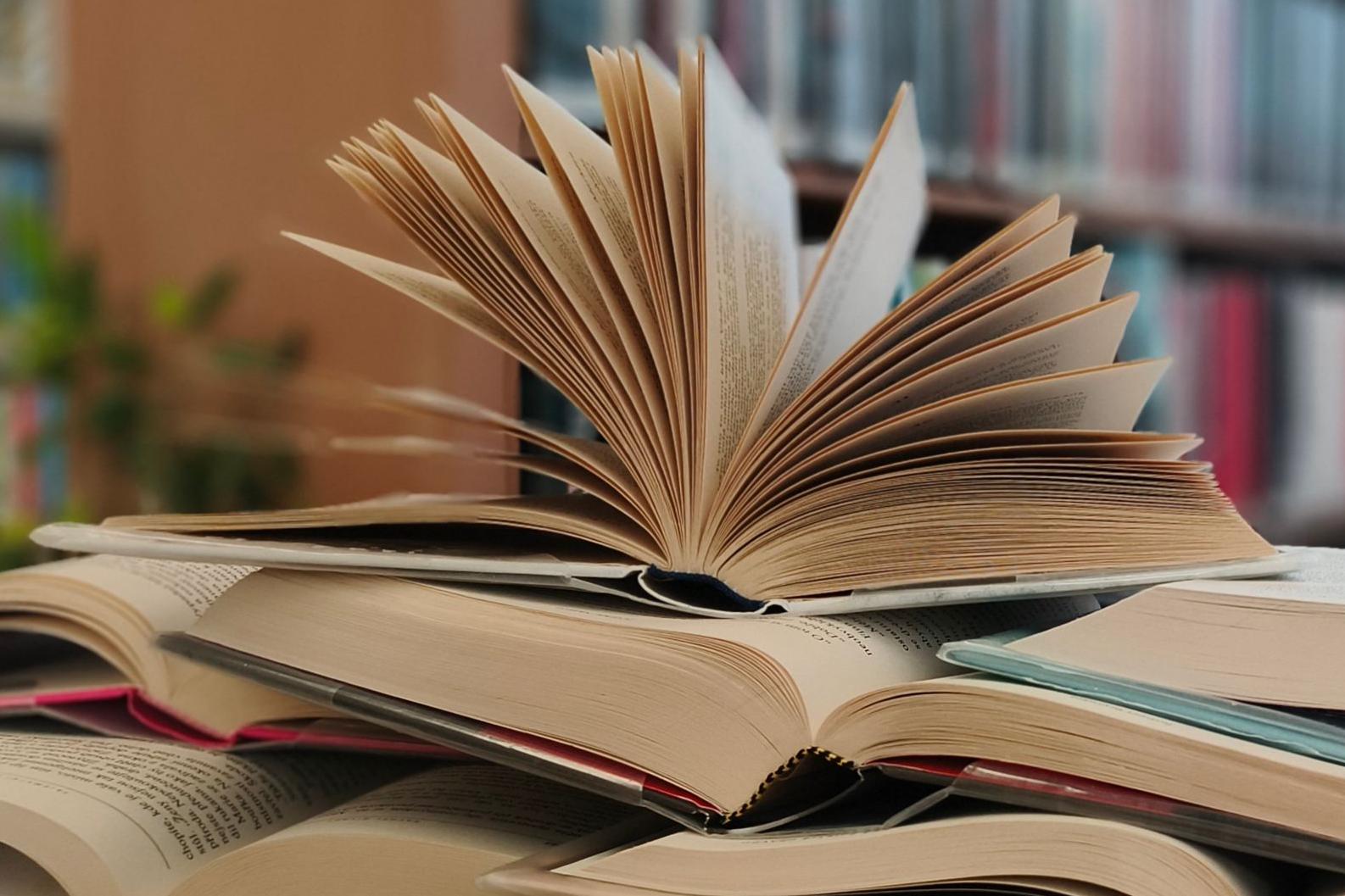 Místní knihovna Maleč