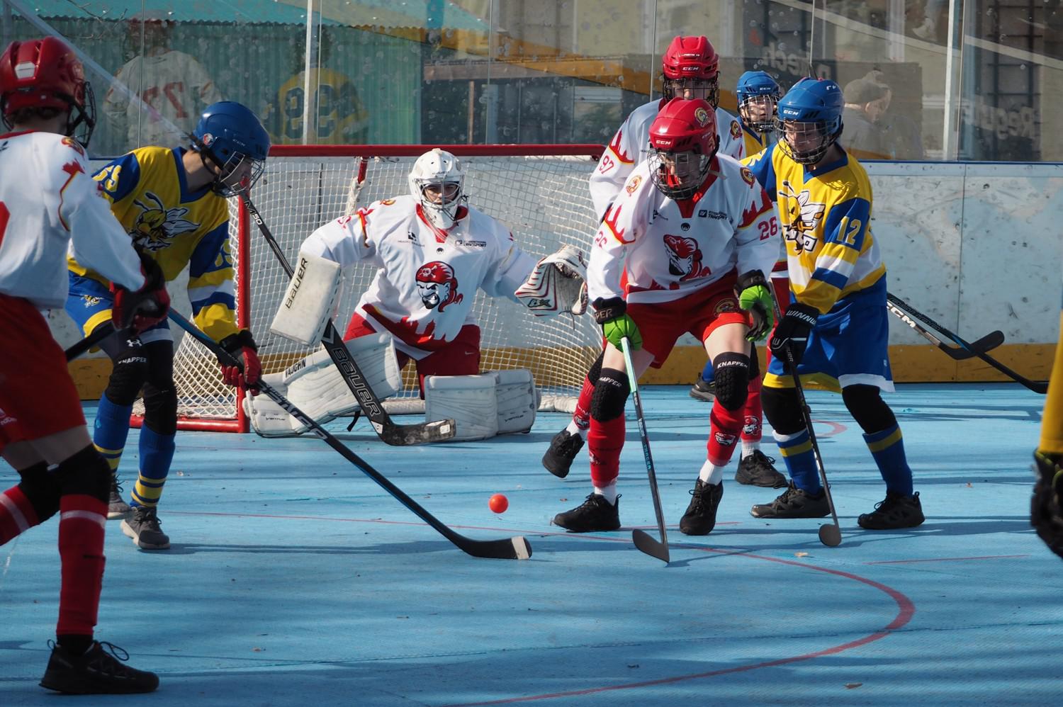 HBC Hradec Králové 1988, z.s.