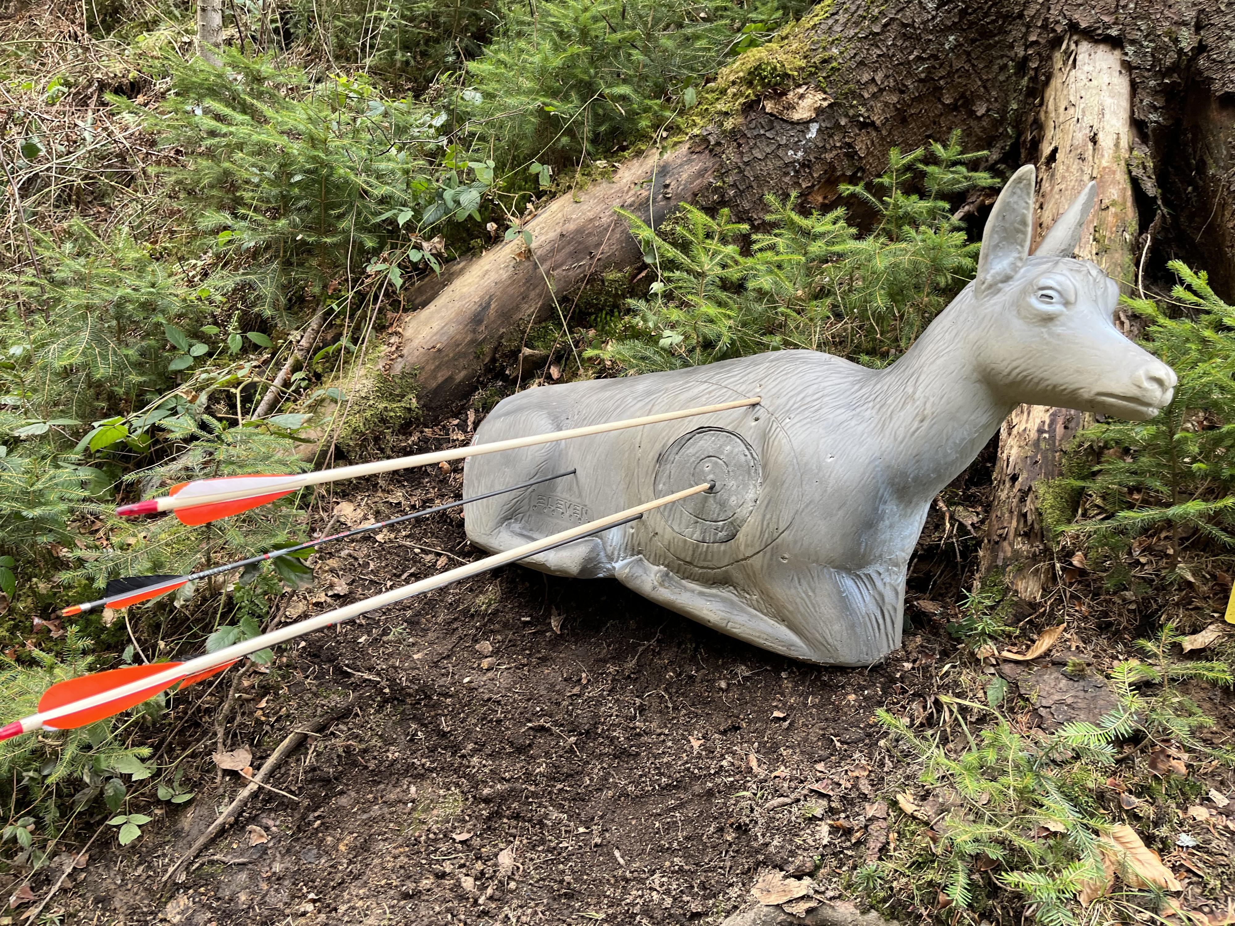 1. Valašský lukostřelecký 3D parkur foto 6