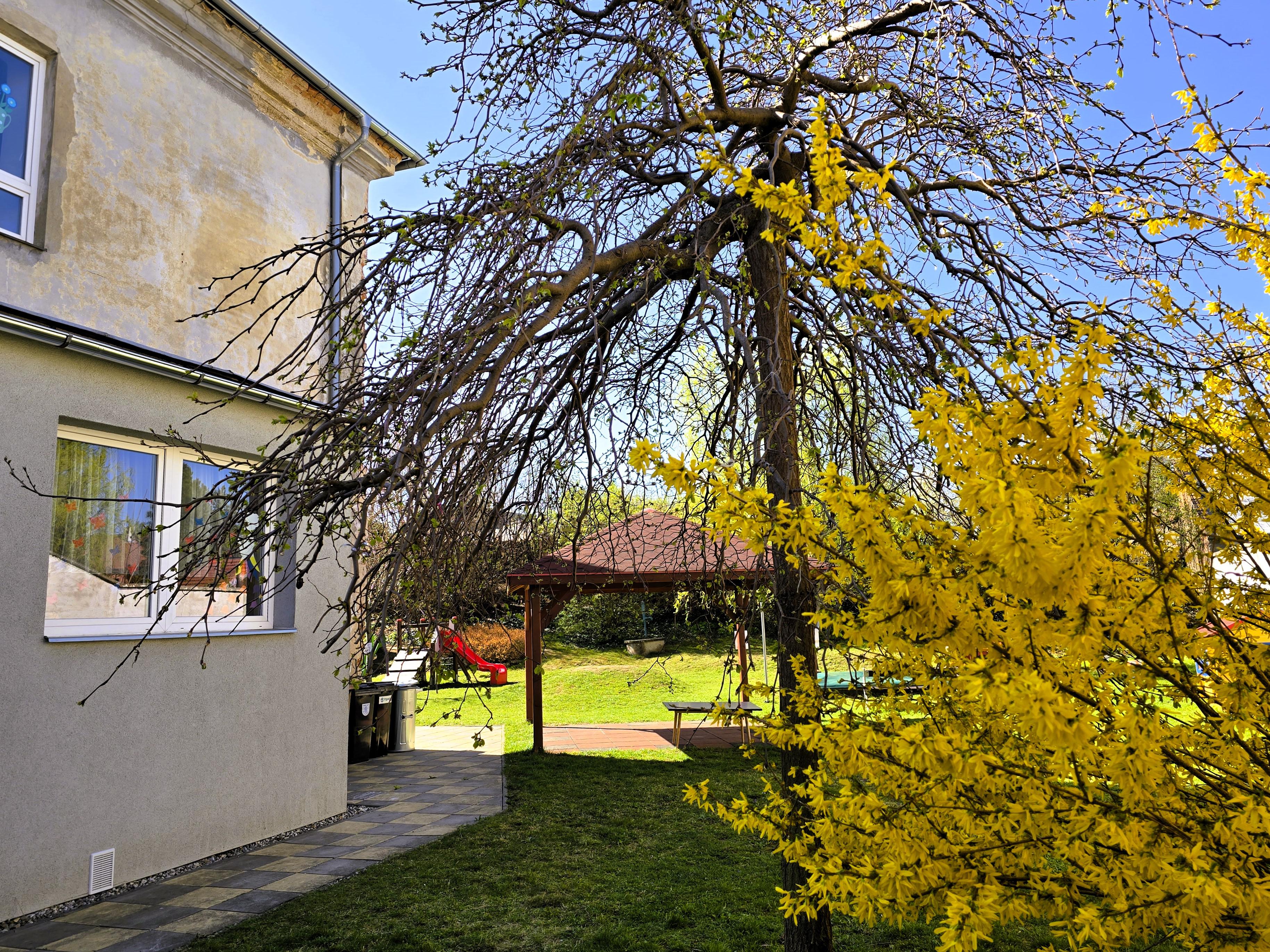 ZŠ a MŠ Olomouc, Neklanova foto 5