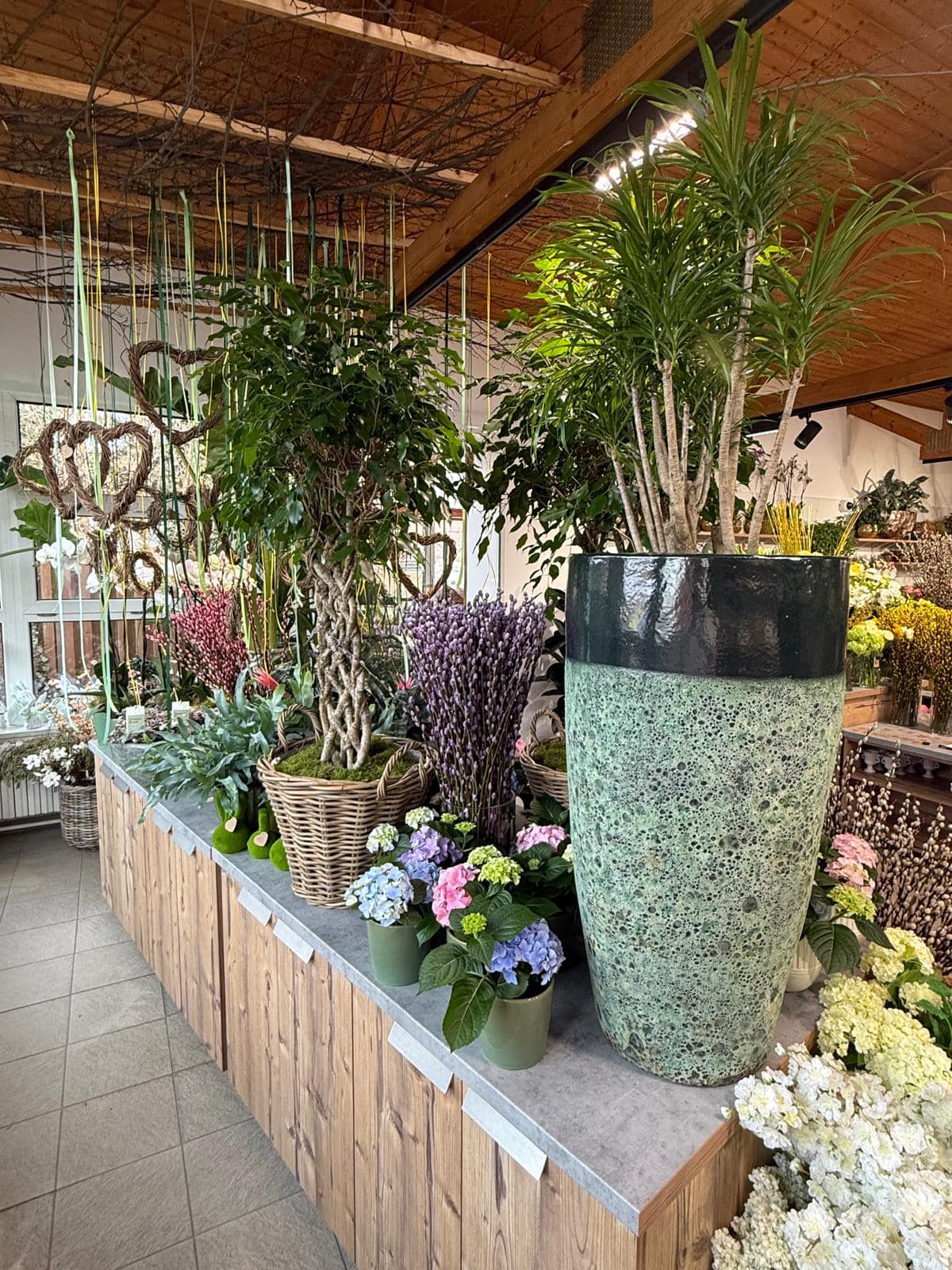 Fantastic Flowers Zahradnictví foto 4