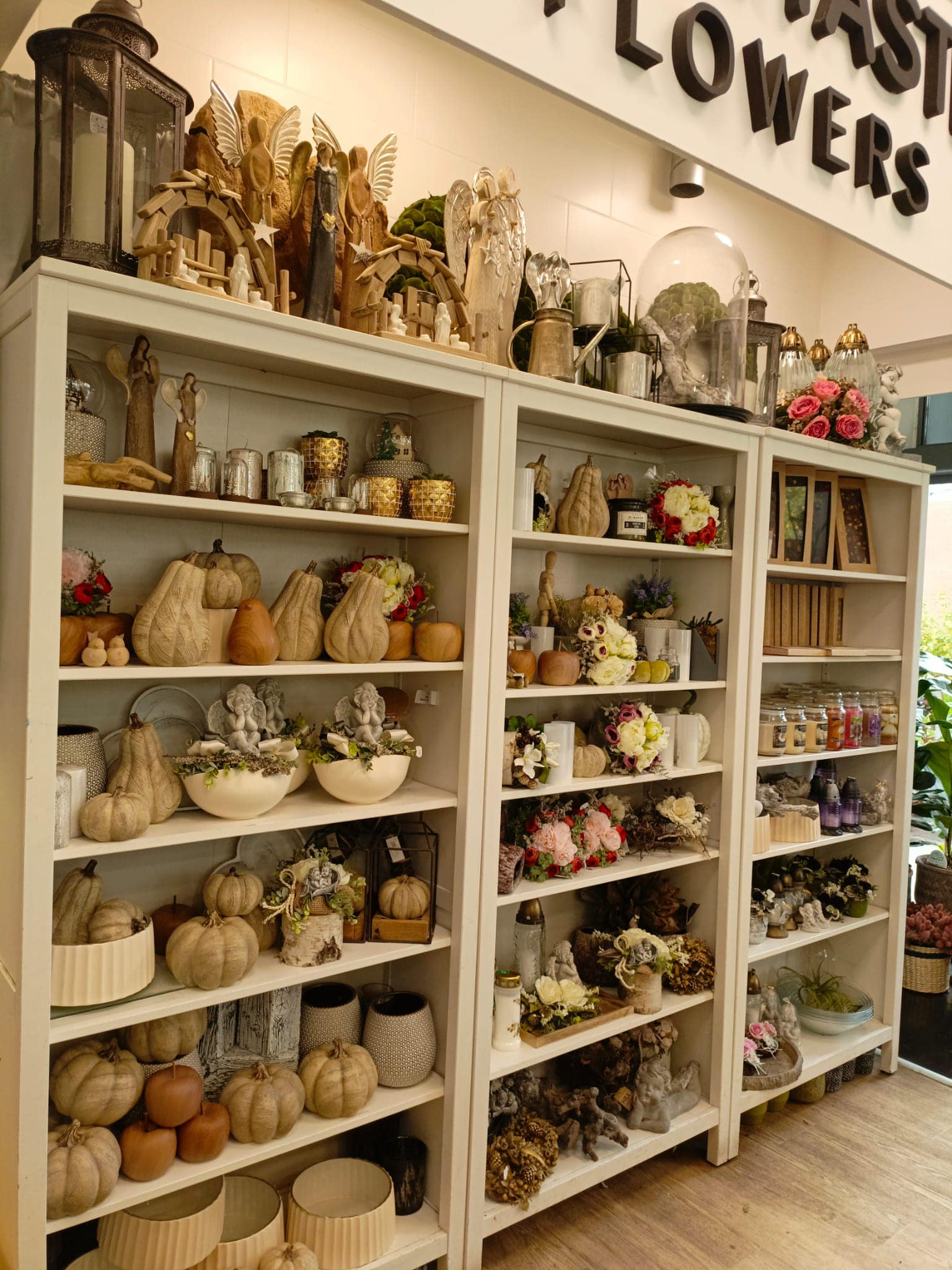 Fantastic flowers Květiny foto 4