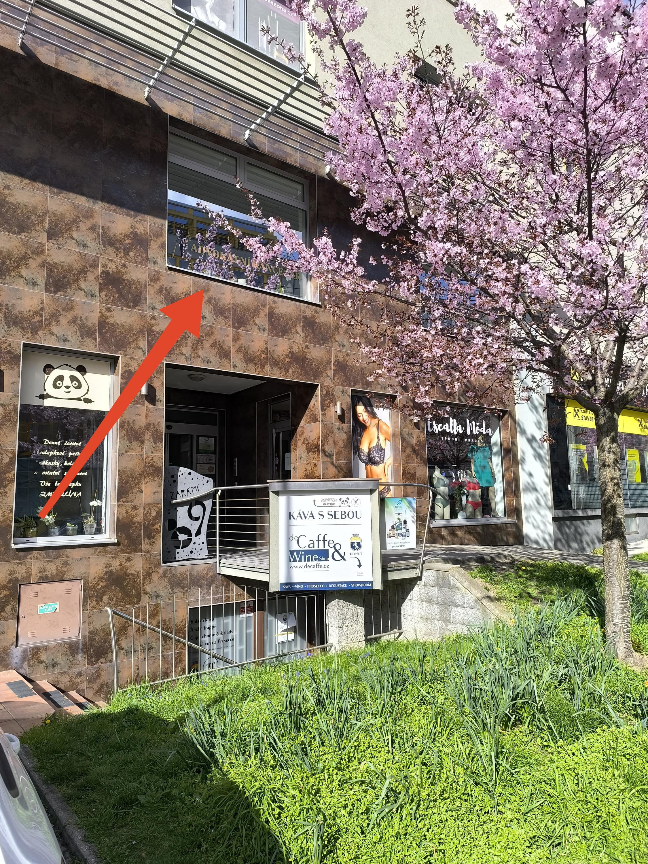 Mgr. Zuzana Mlčoušková - advokátka foto 2