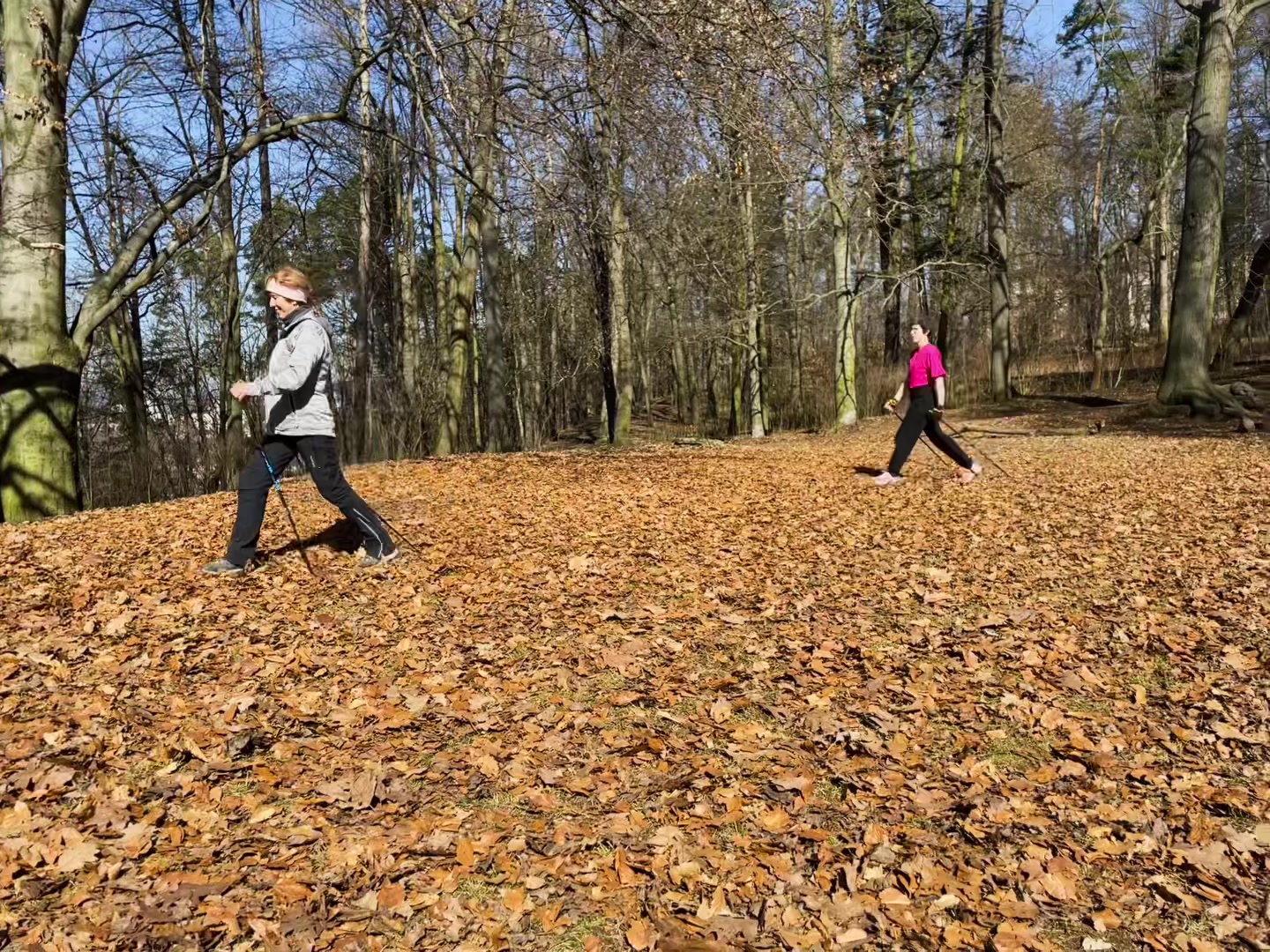 Nordic Walking Vysočina | Jan Grznár foto 2 (náhled videa)