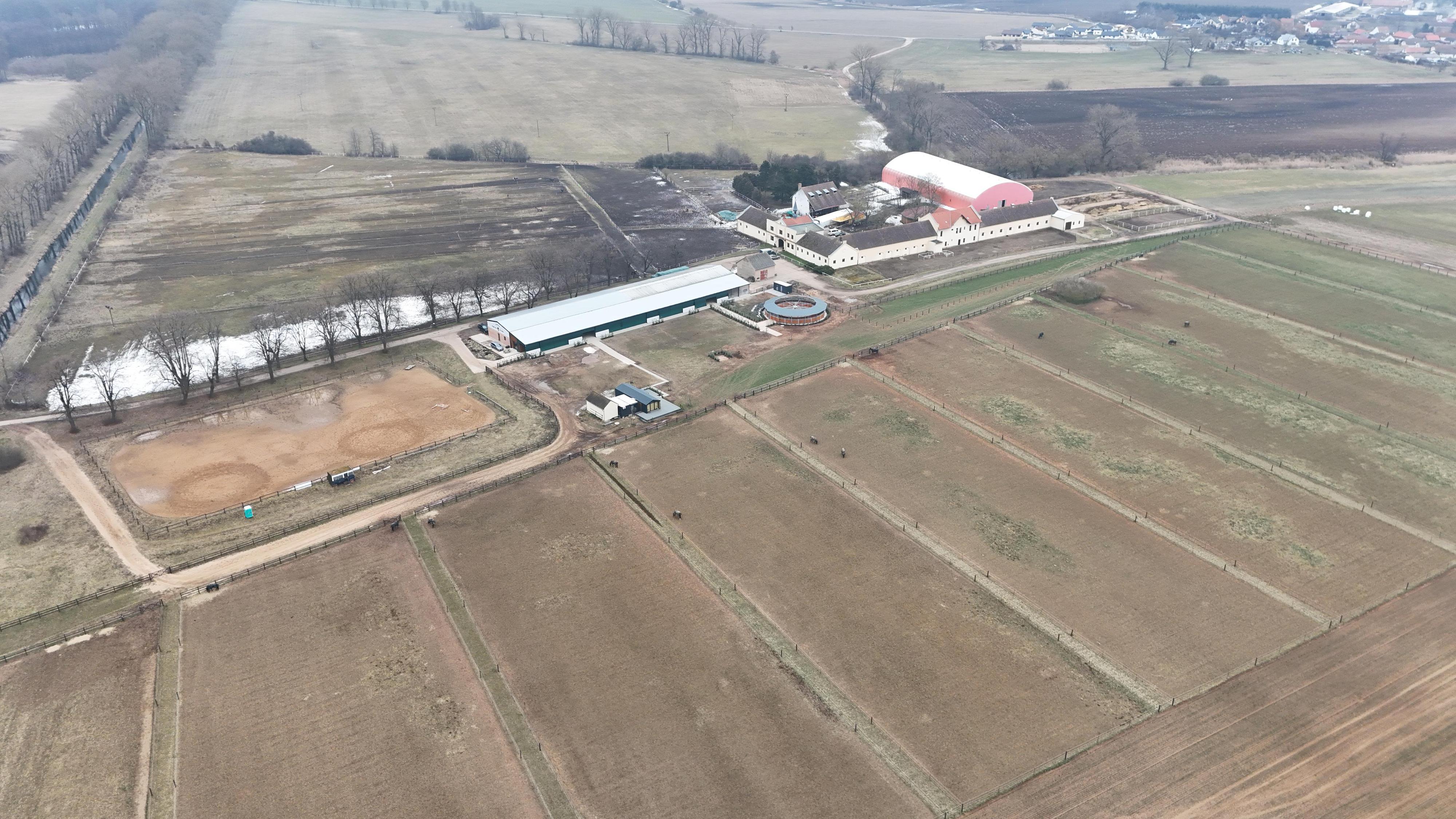Hřebčín Ostrov foto 6