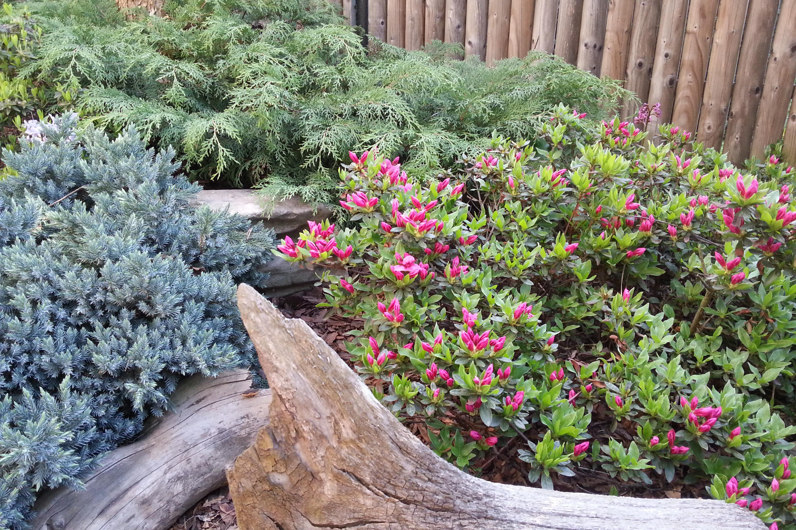 ZAHRADY - WOJCIK, zahradnické a stavební služby