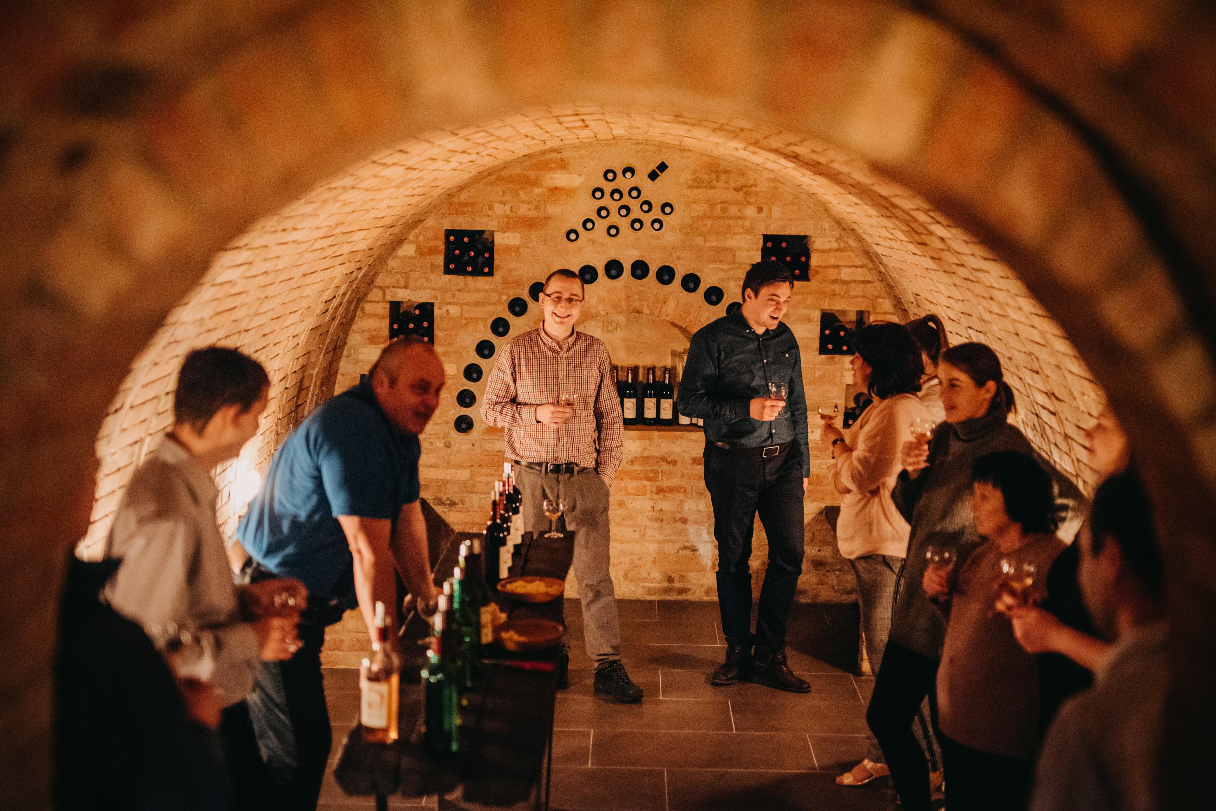 AirWine - letecké simulátory & vinný sklep na jižní Moravě foto 4