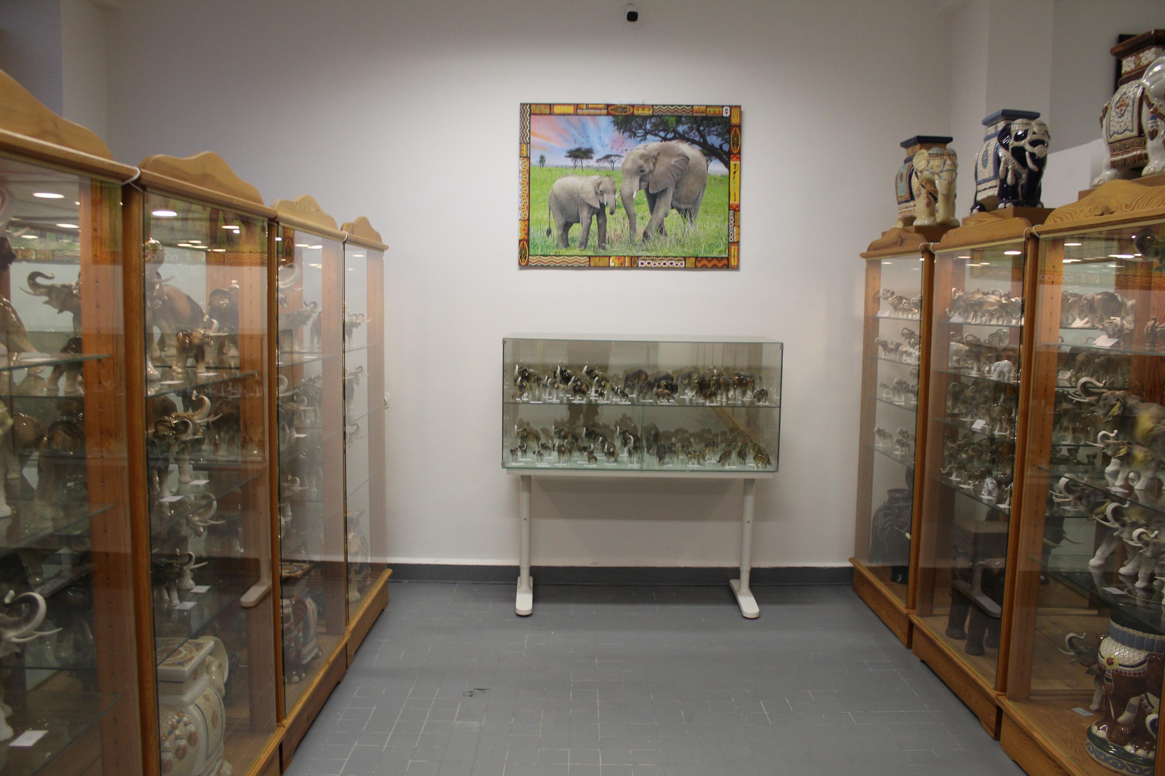 Muzeum Slonů foto 4