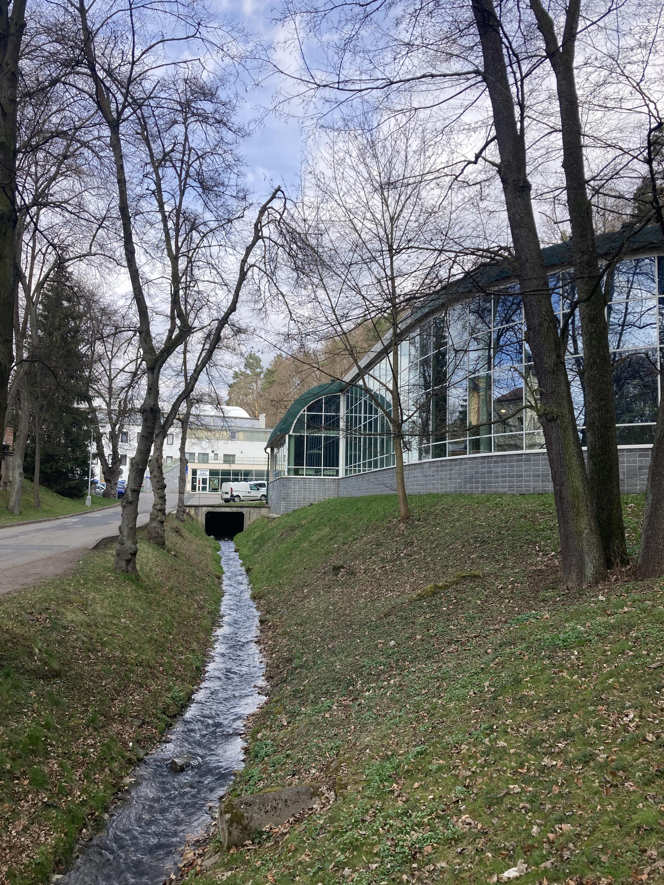 Plavecký bazén Havlíčkův brod foto 3