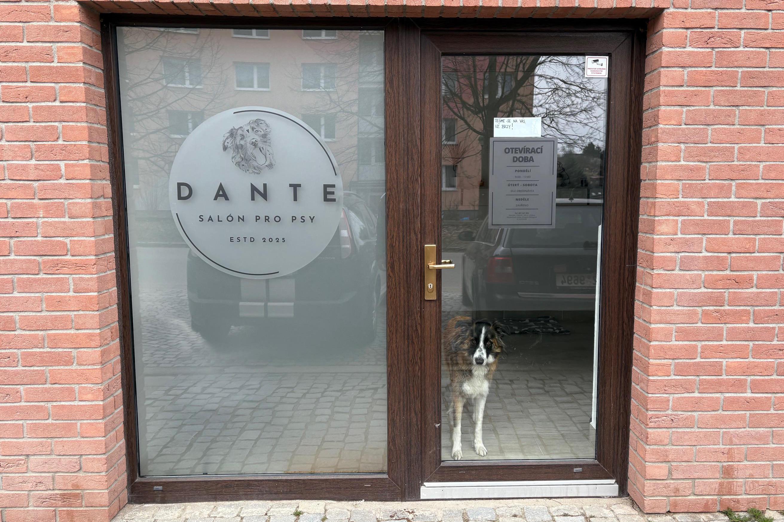 Dante Salón pro psy