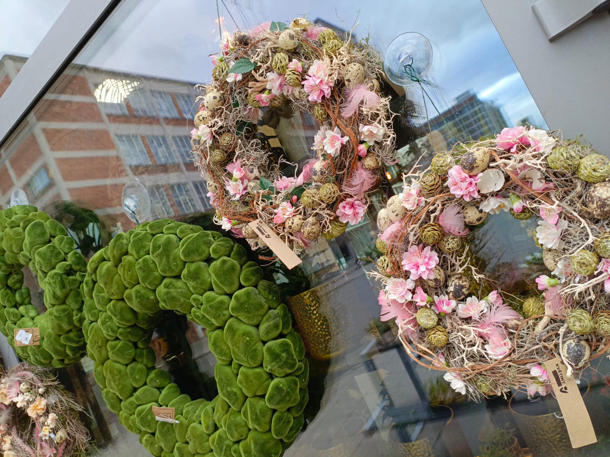 Fantastic flowers Květiny foto 2