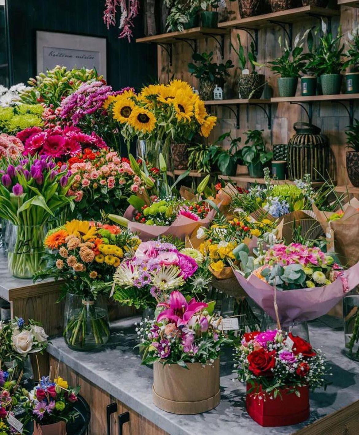 Fantastic Flowers foto 6