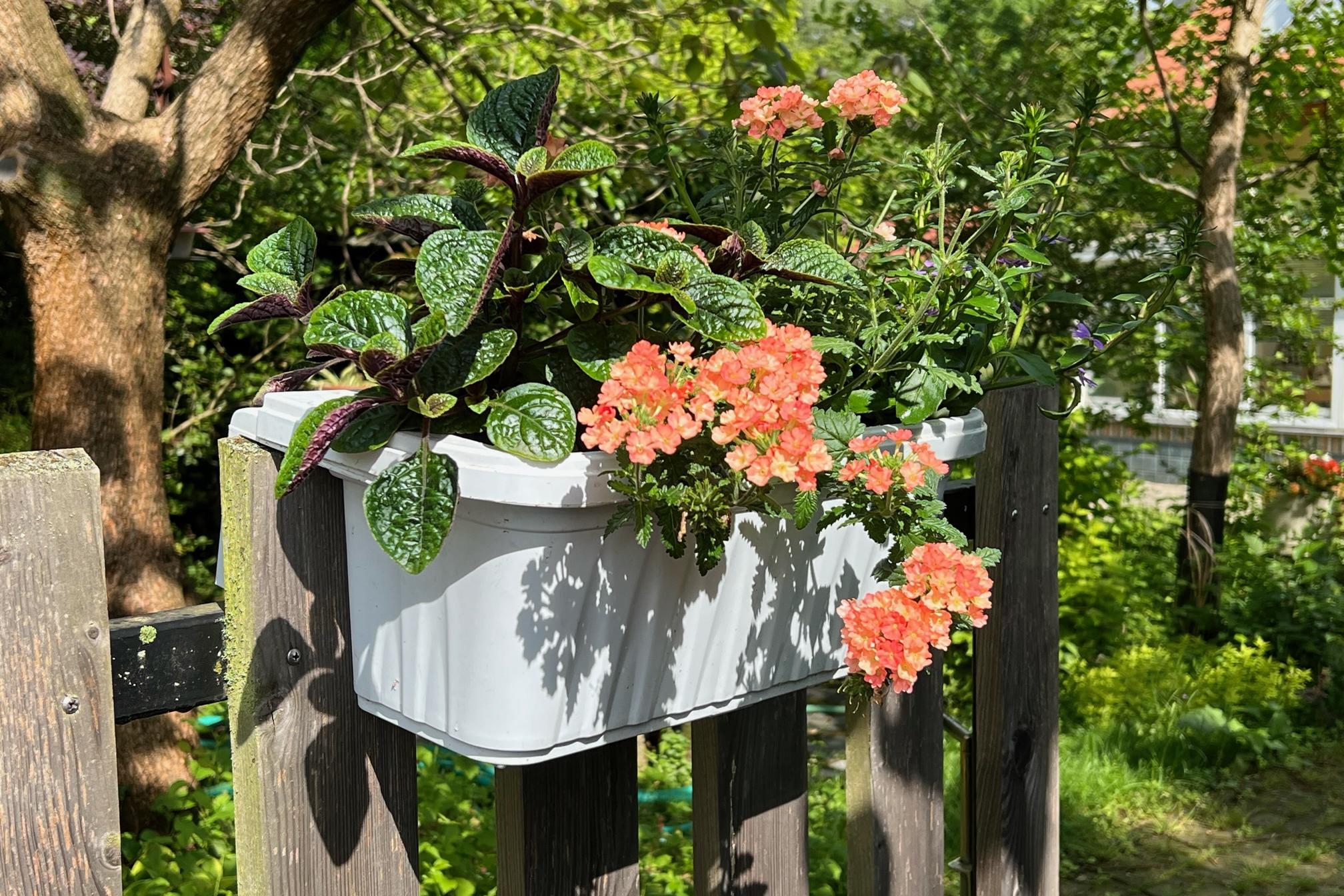 Pověste květiny tam, kde budou zářit !