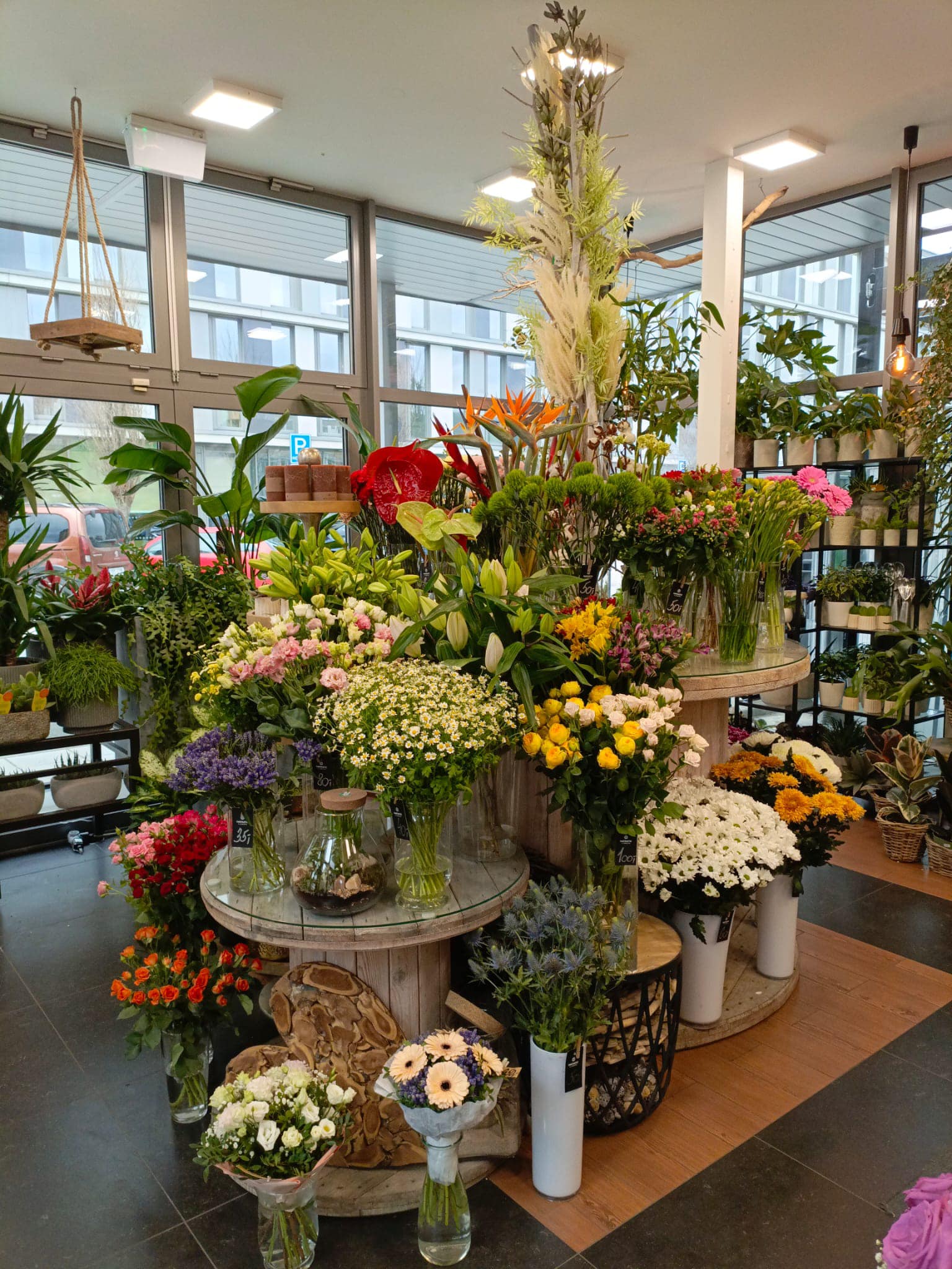 Fantastic flowers Květiny foto 3