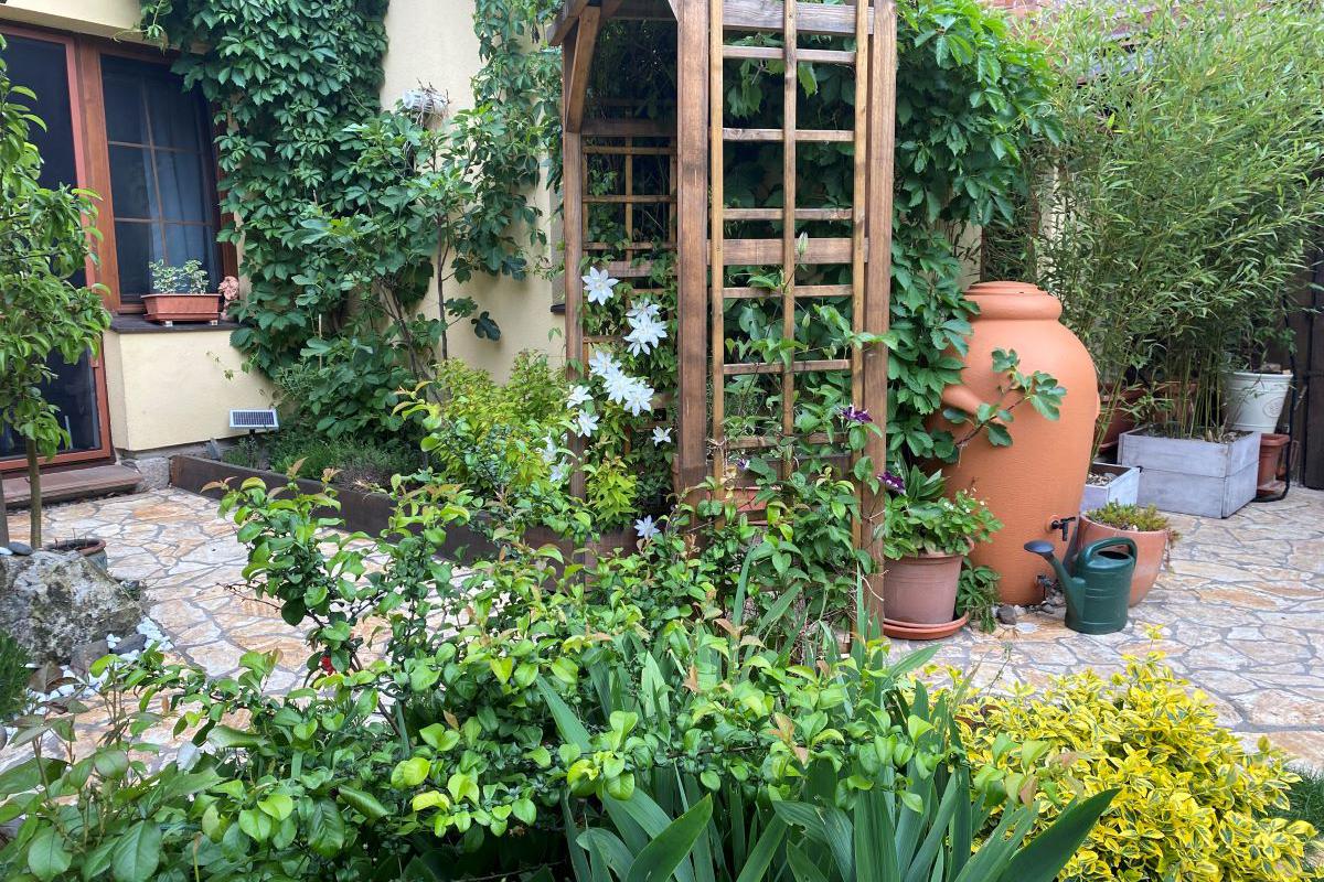 Eva Pěničková - návrhy zahrad a zahradní design