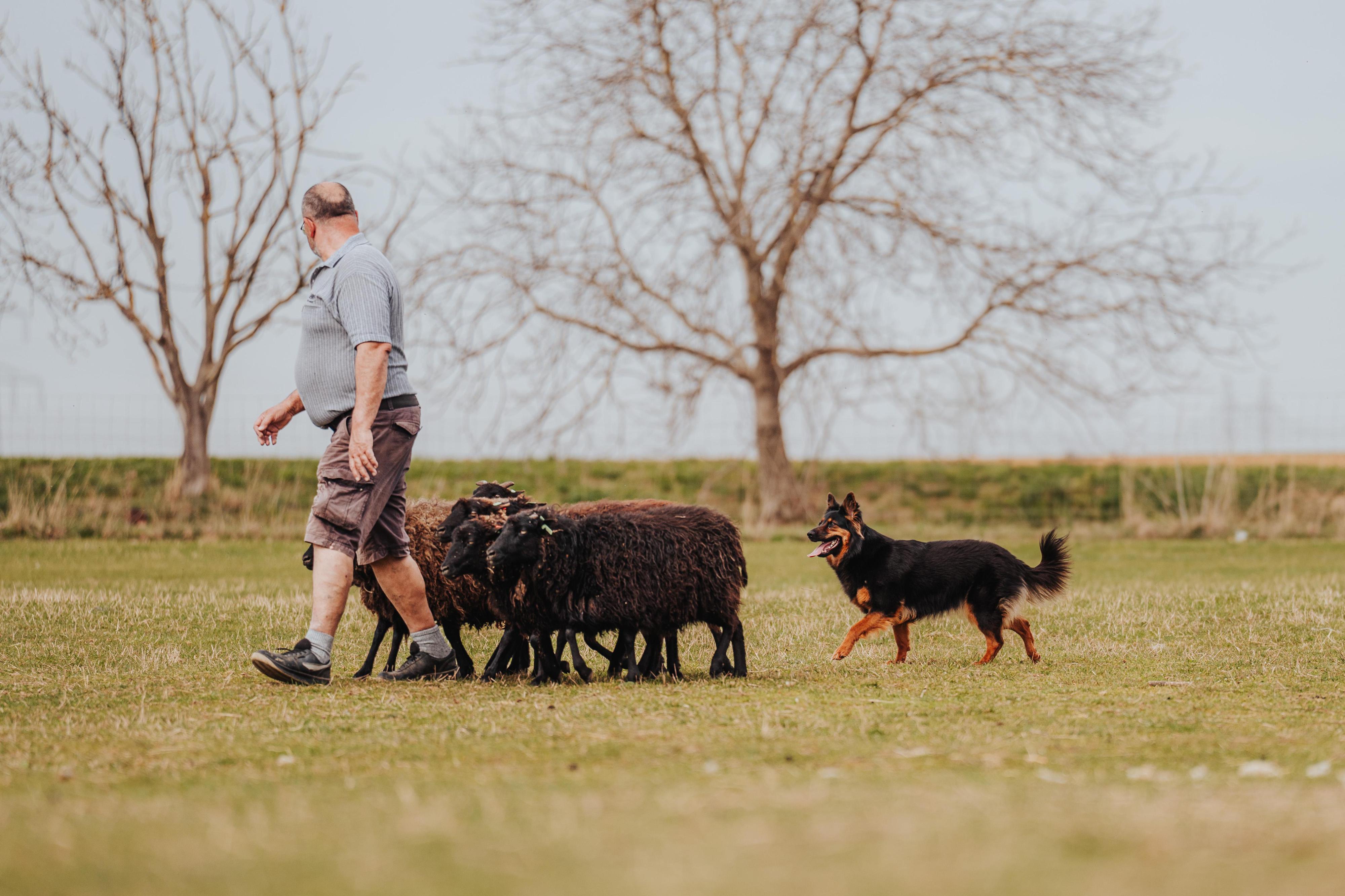 Andrea Ludvíková foto 1