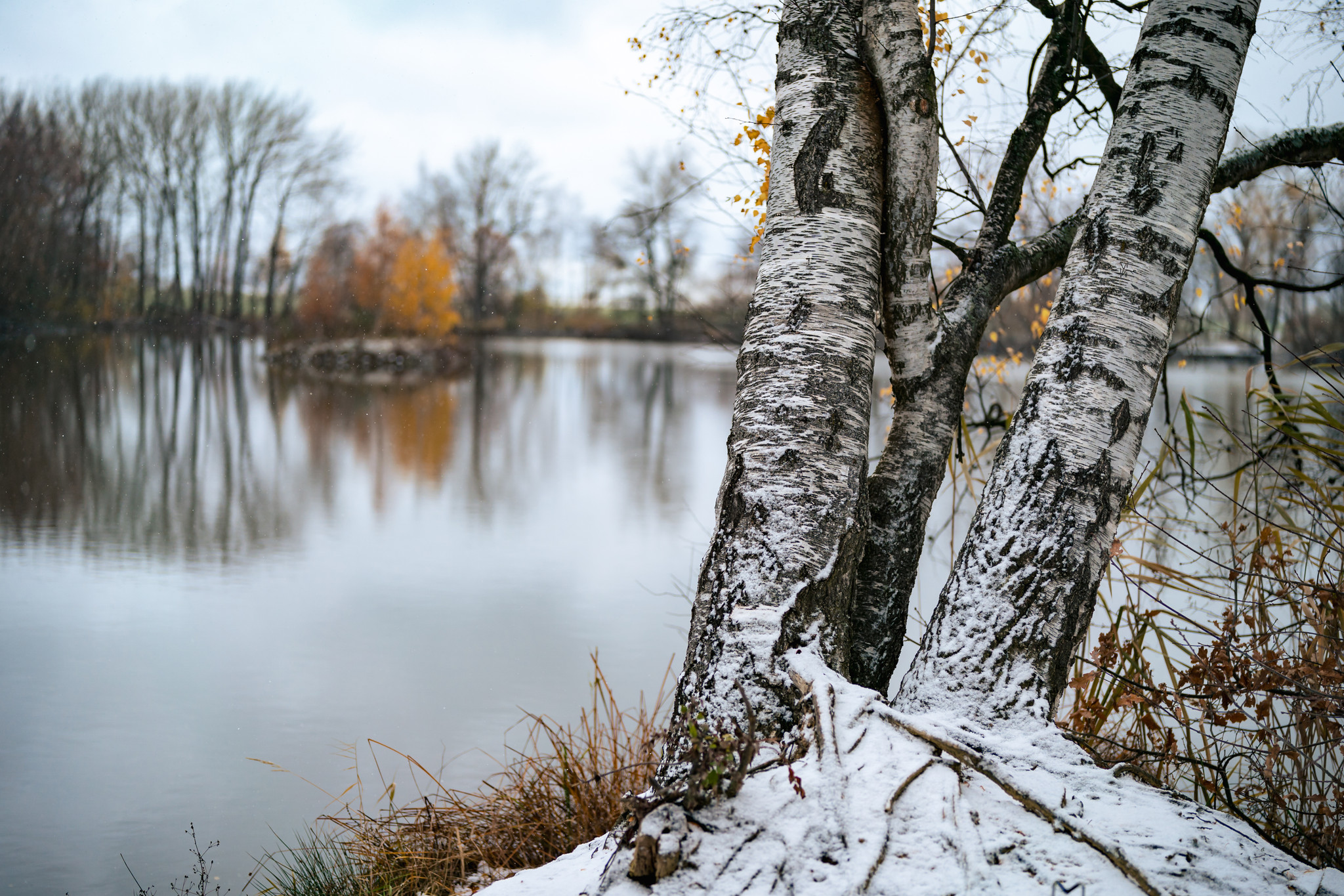 Katlov Homes foto 2