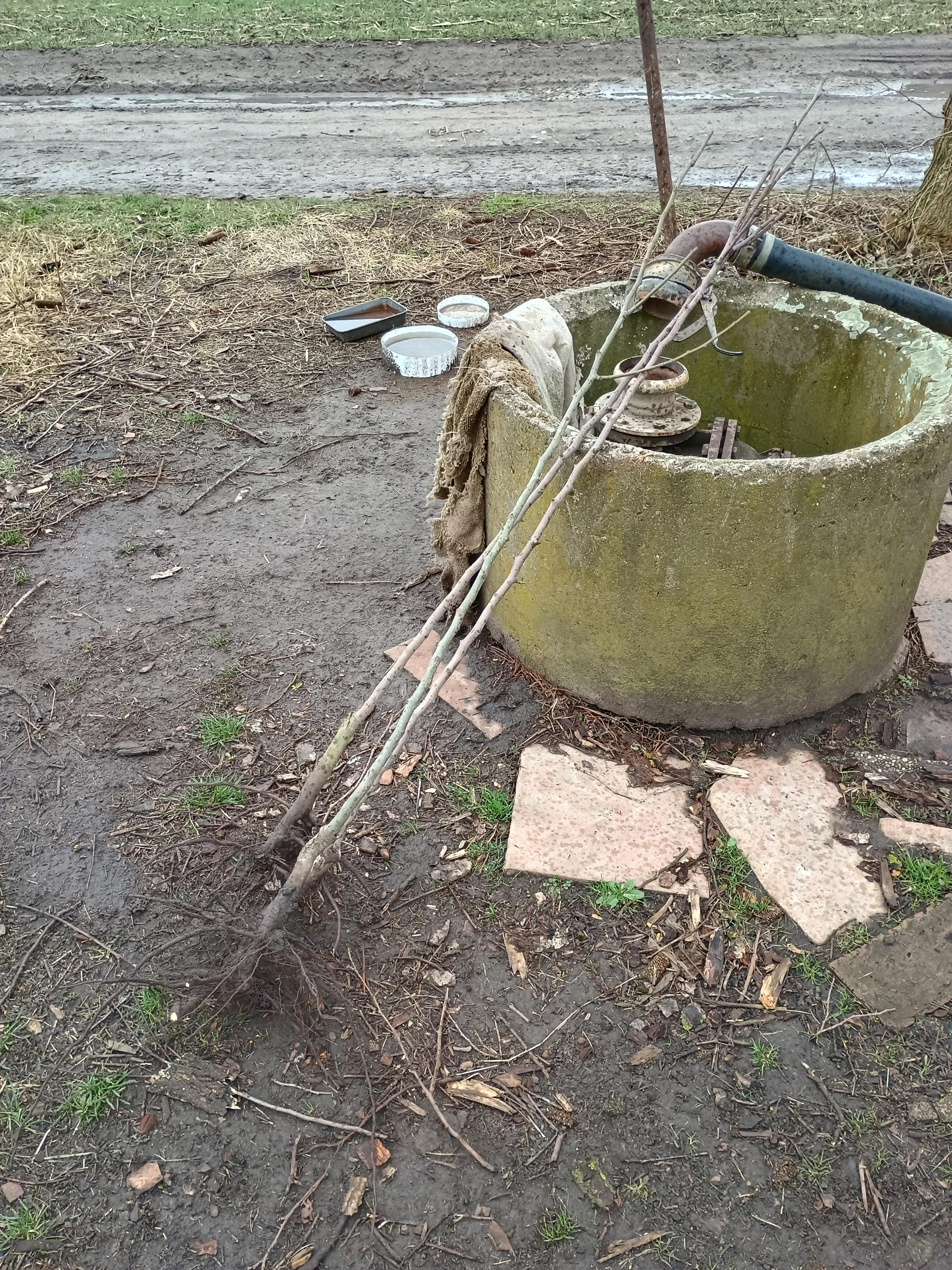 Ovocná školka - Ing. Jan Novák foto 3