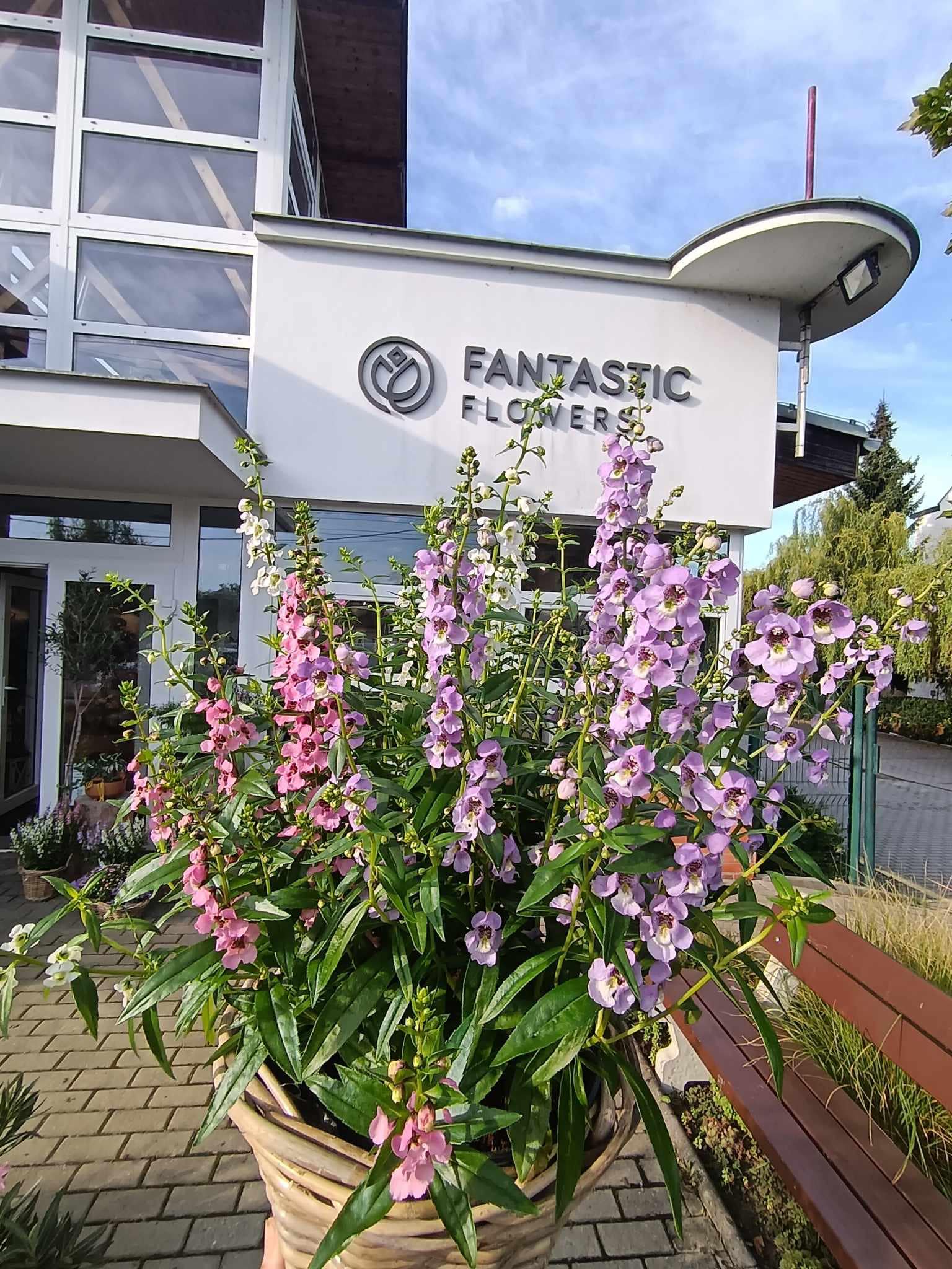 Fantastic Flowers Zahradnictví foto 2