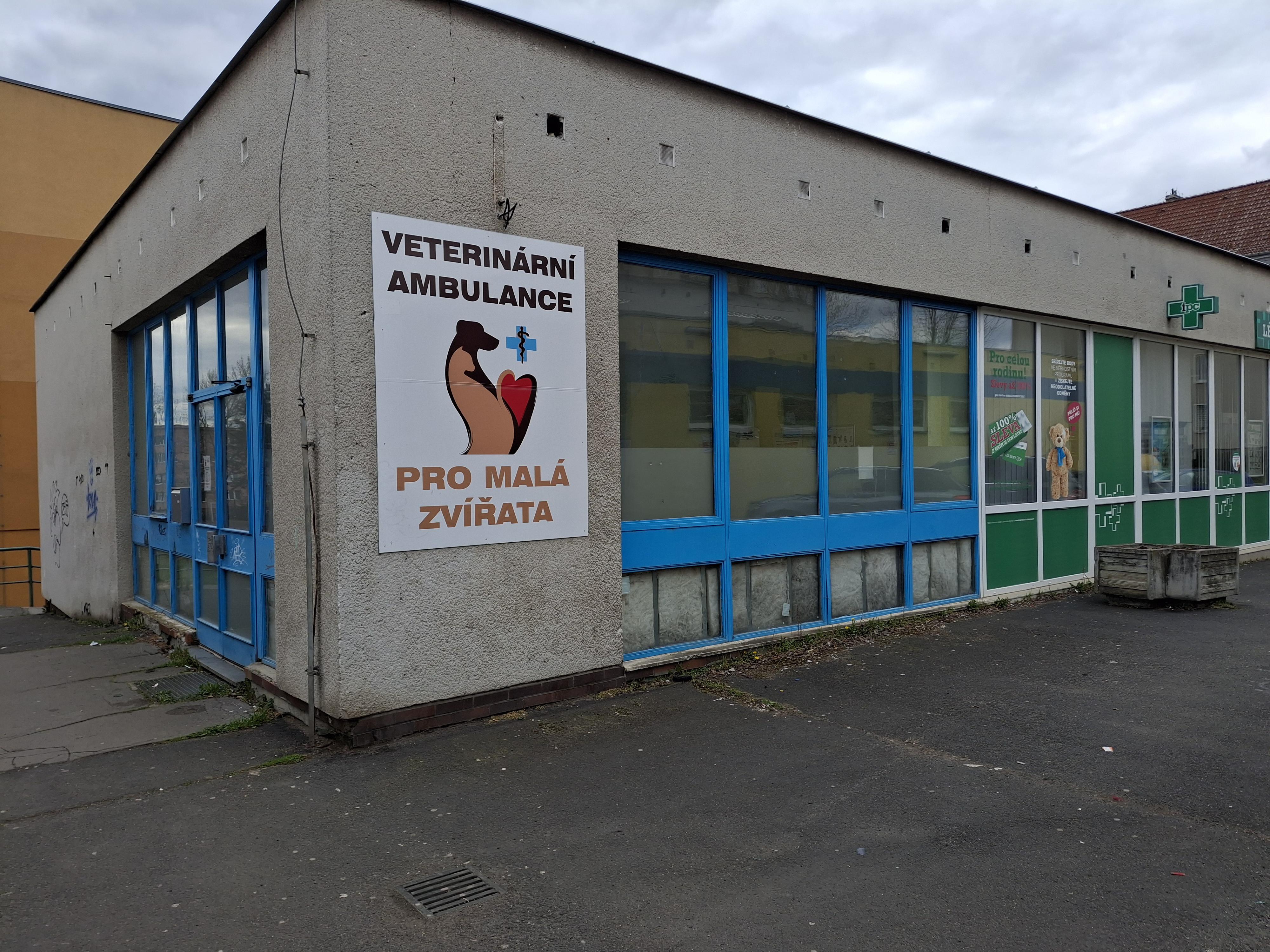 MVDr. Eva Tichá foto 2