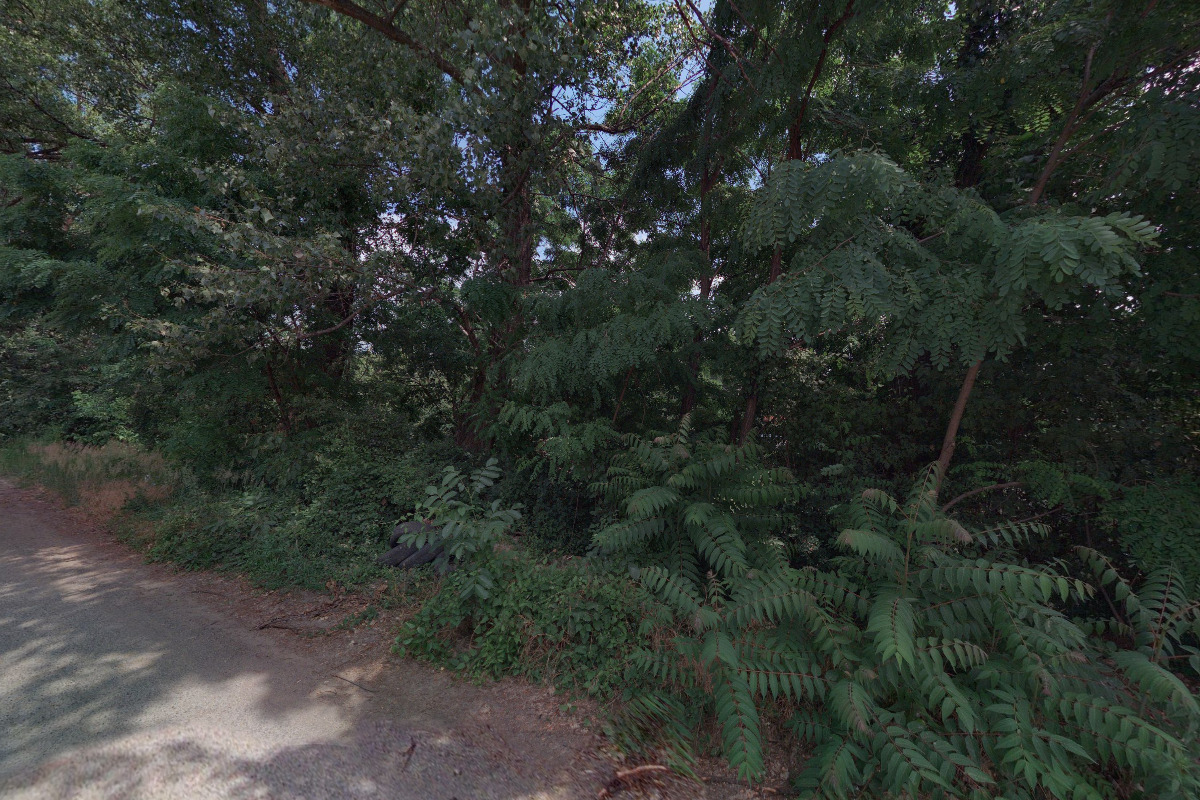 AQUATIC CLUB RAFTÍK