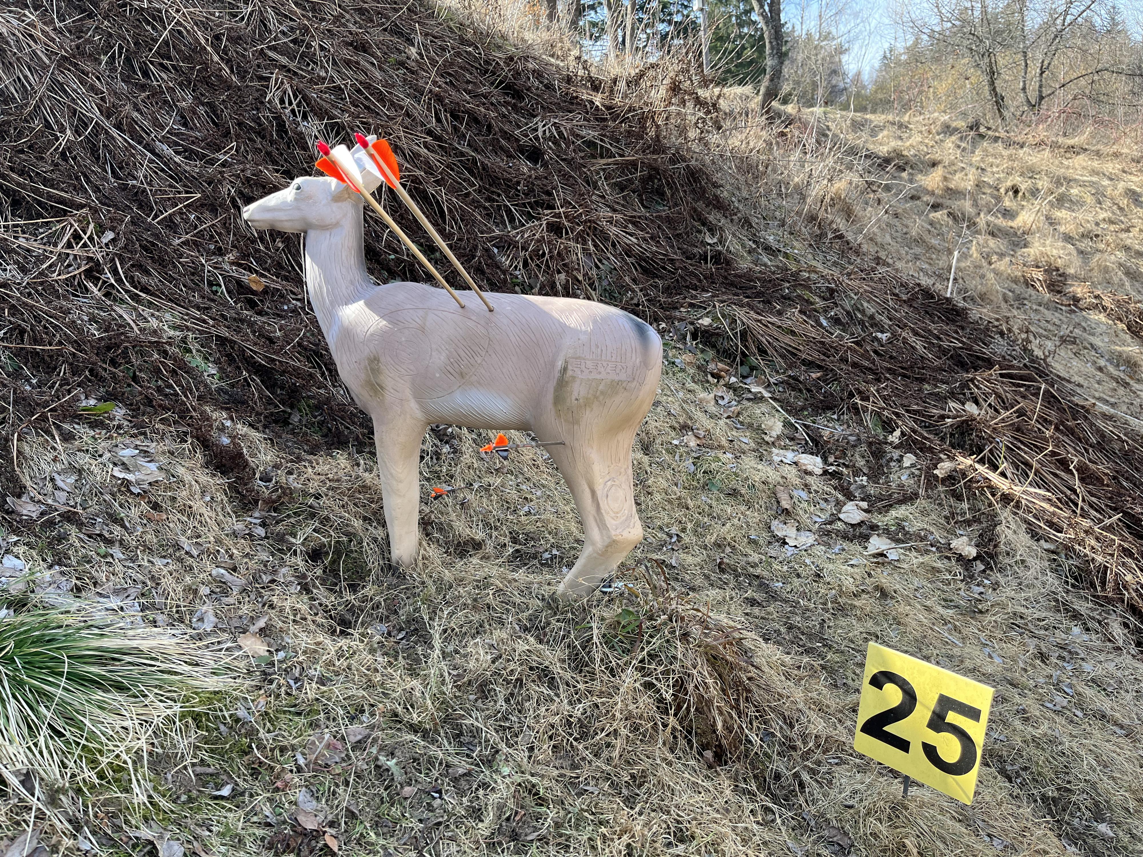 1. Valašský lukostřelecký 3D parkur foto 2