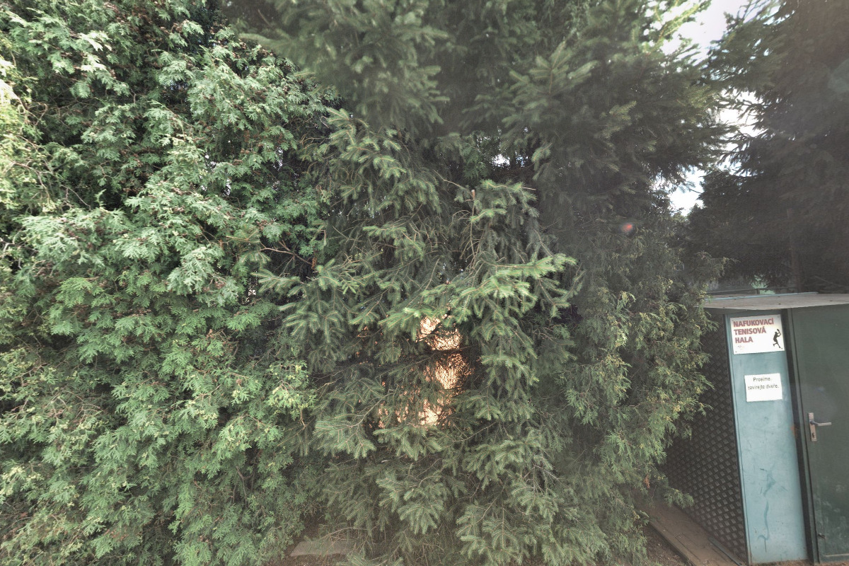 Tenisový klub Vyškov