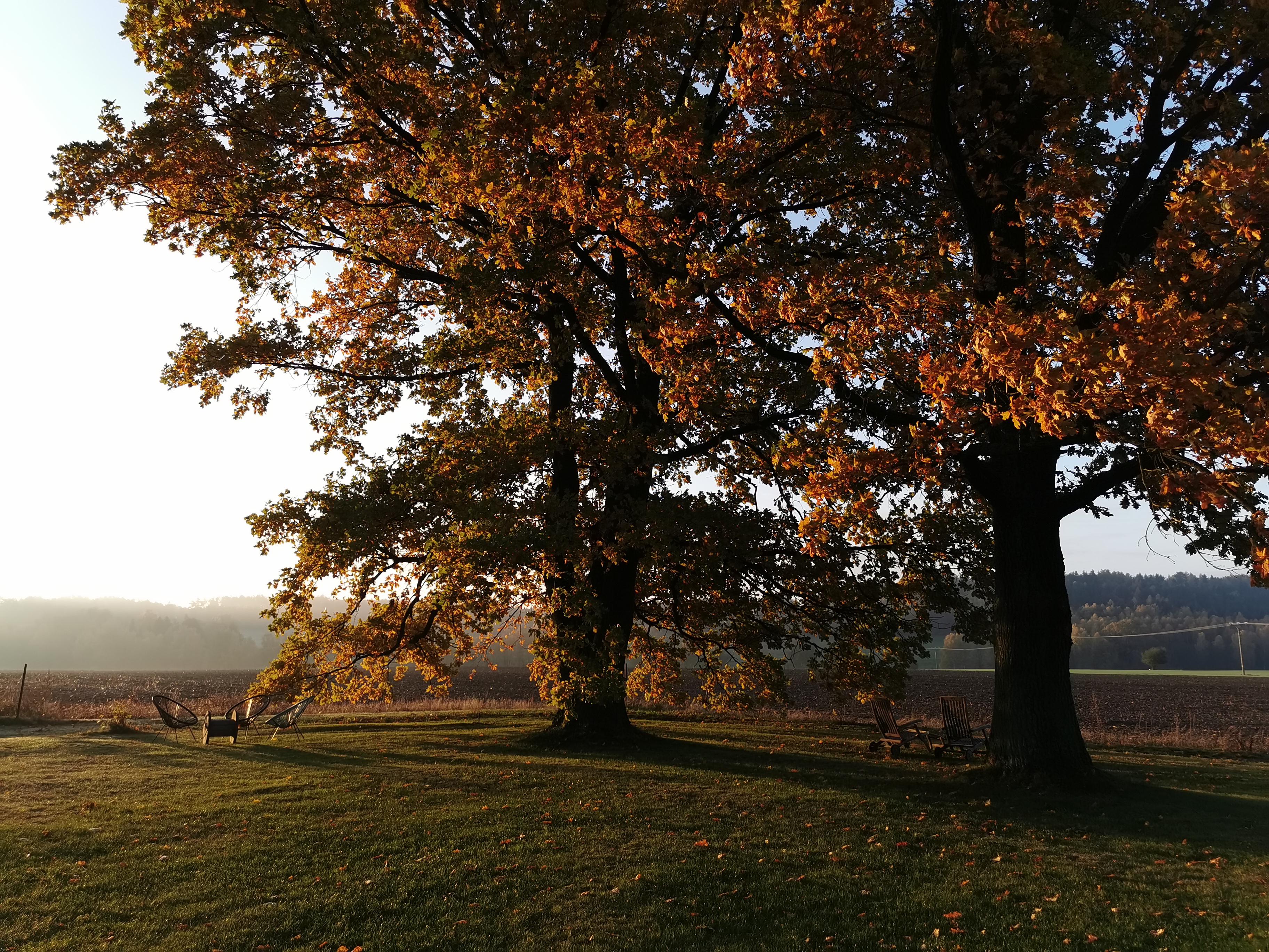 Apartmán MEZI DUBY foto 5