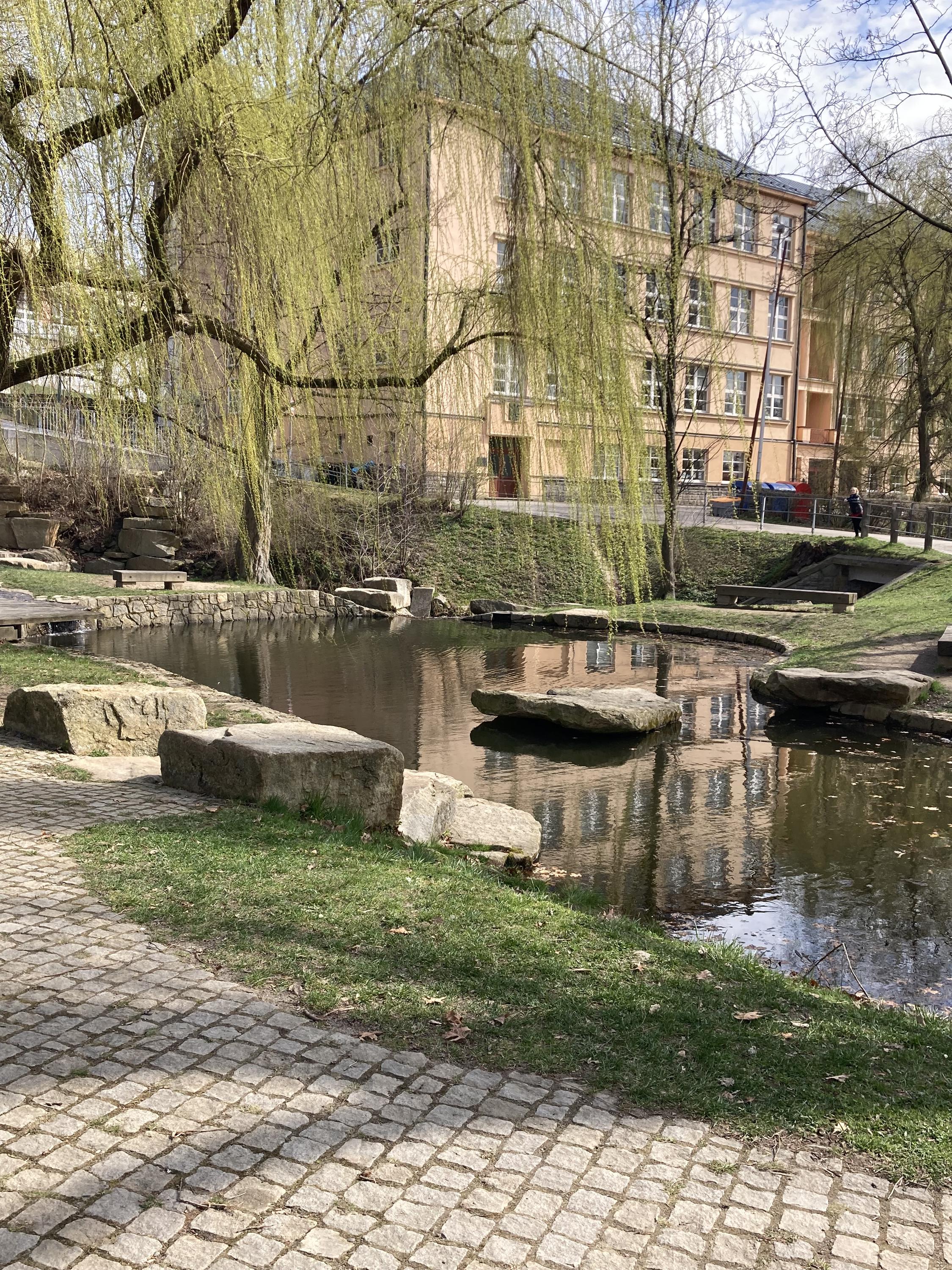 Základní škola Havlíčkův Brod, V Sadech 560 foto 6