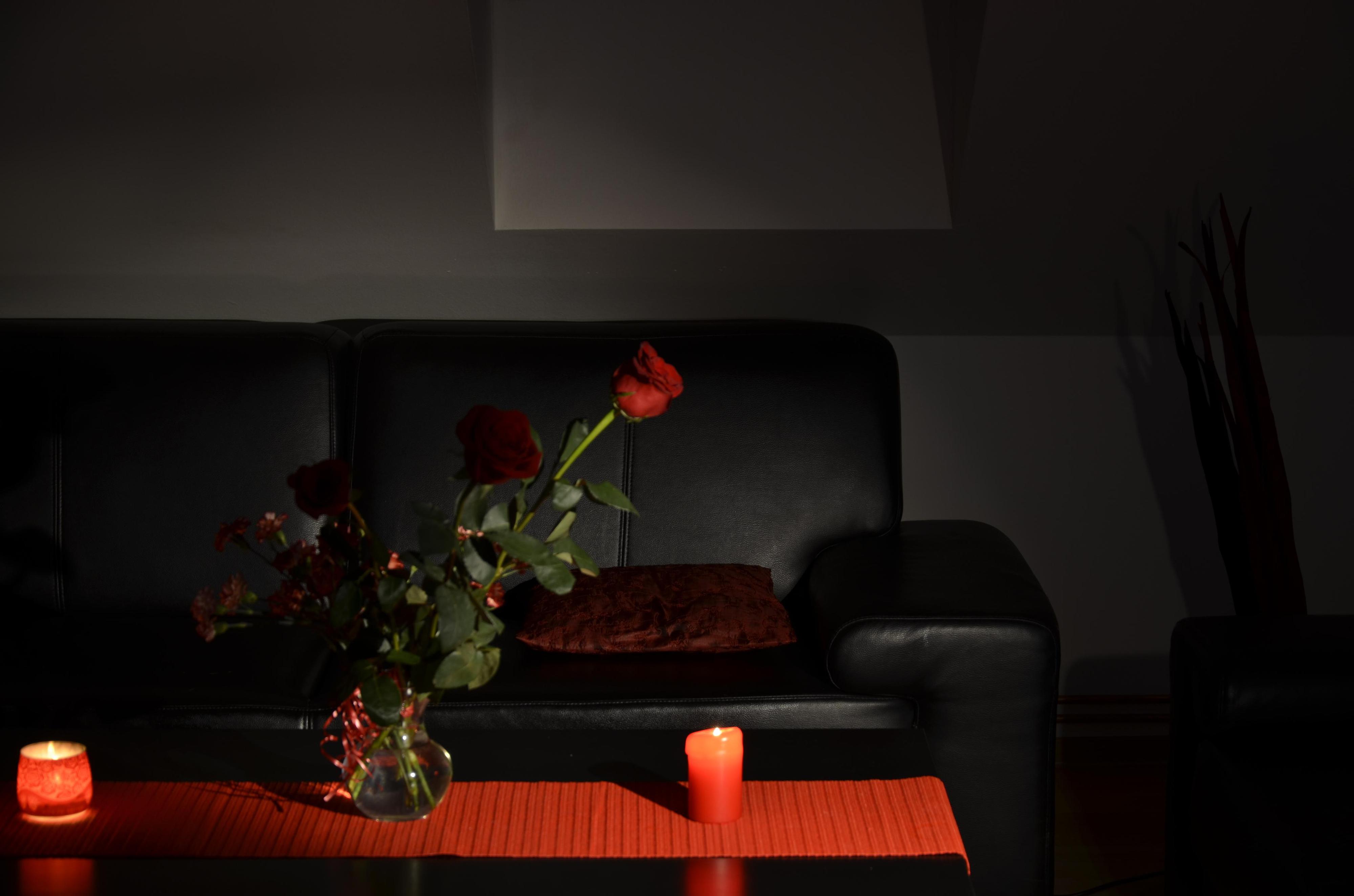 Jaroslava Li Valová foto 3