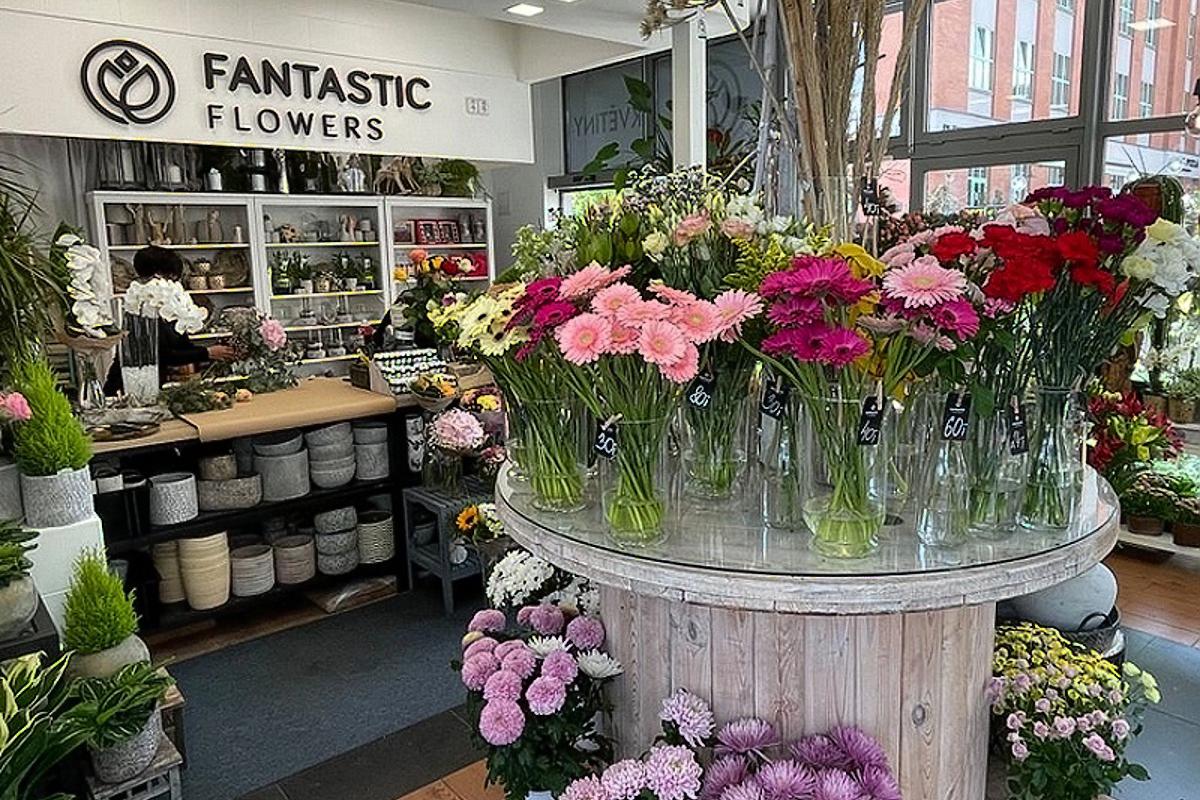 Fantastic flowers Květiny