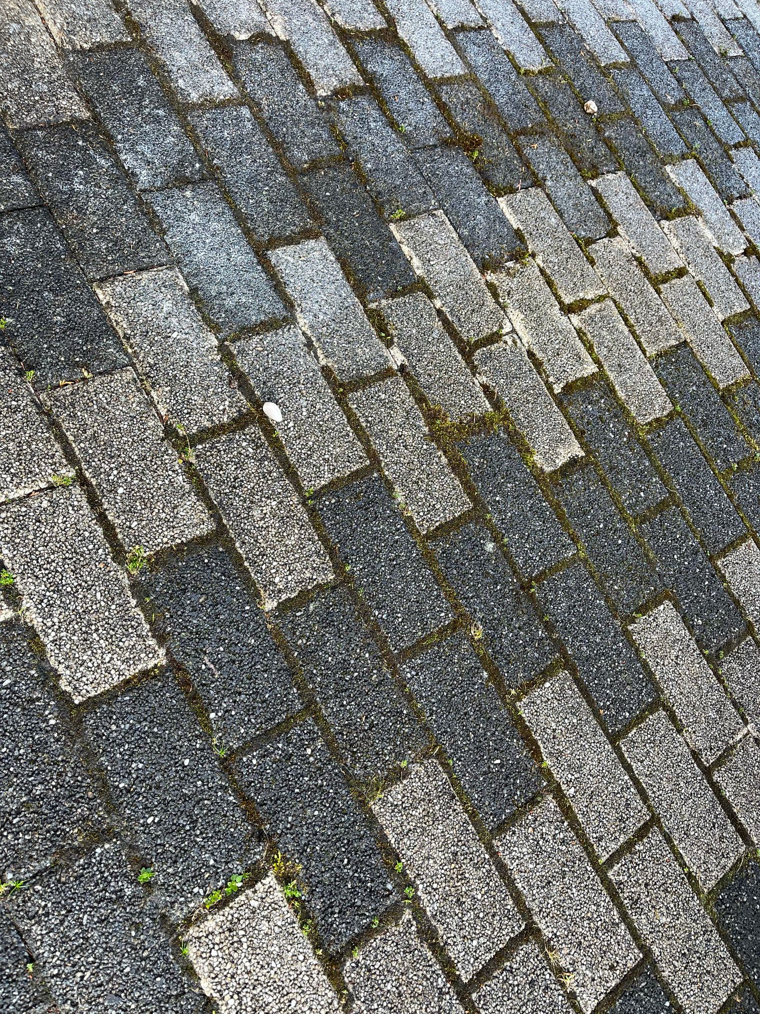 cistenistrech.eu - čištění střech, fasád a dlažeb foto 2