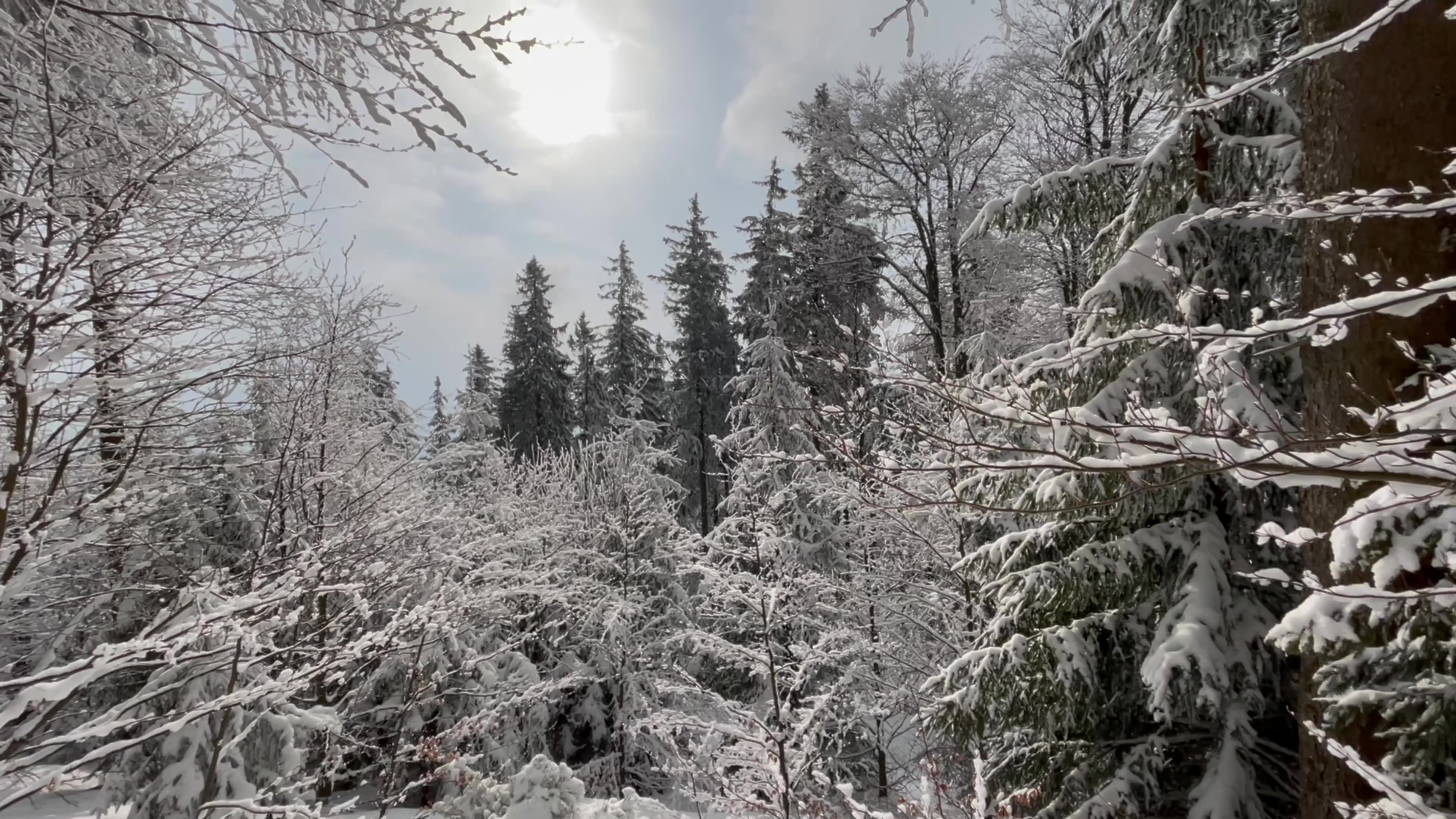 Penzion Beskydkrby foto 2 (náhled videa)