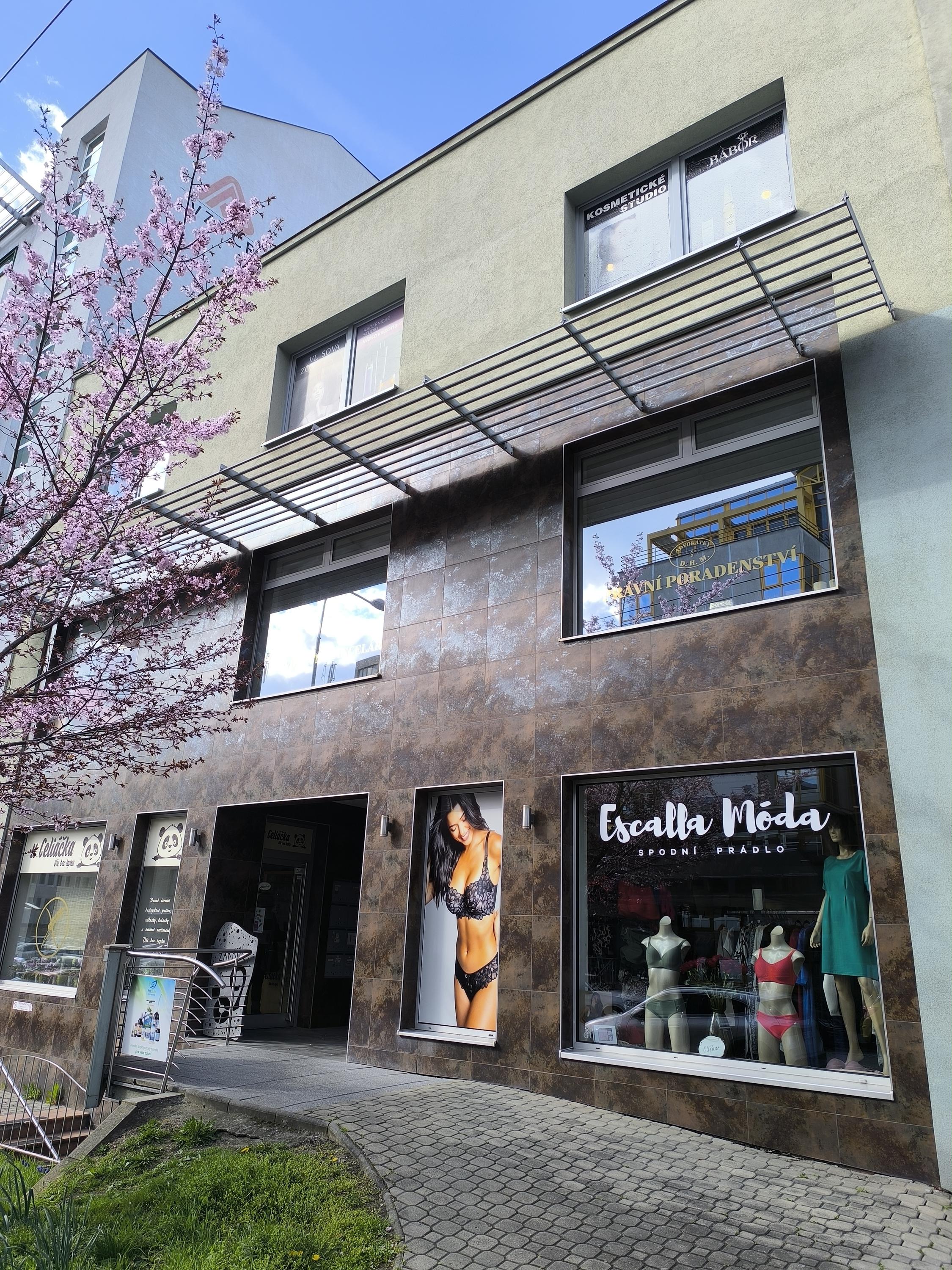 Mgr. Zuzana Mlčoušková - advokátka foto 3