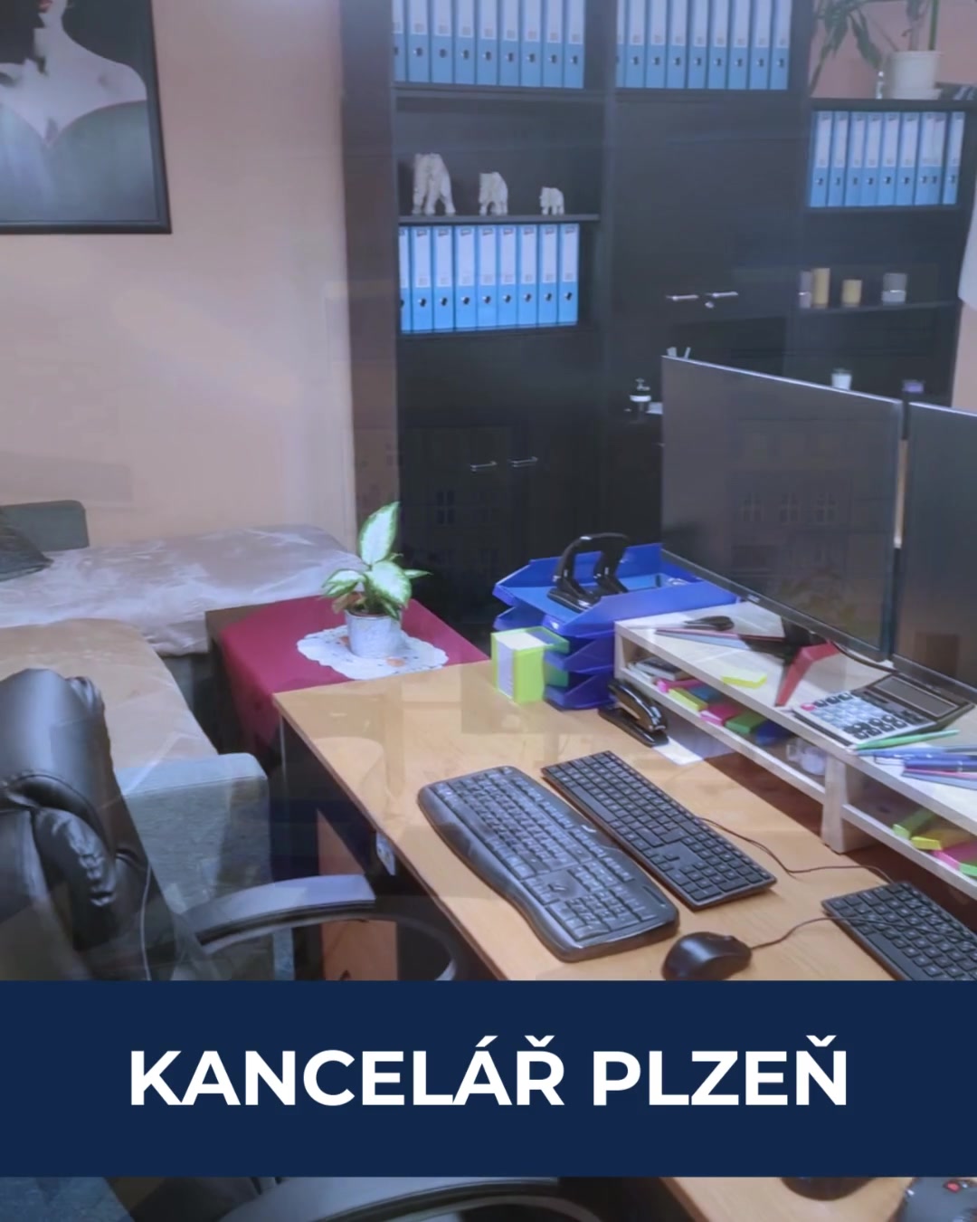 Economservis Pösinger s.r.o. foto 2 (náhled videa)