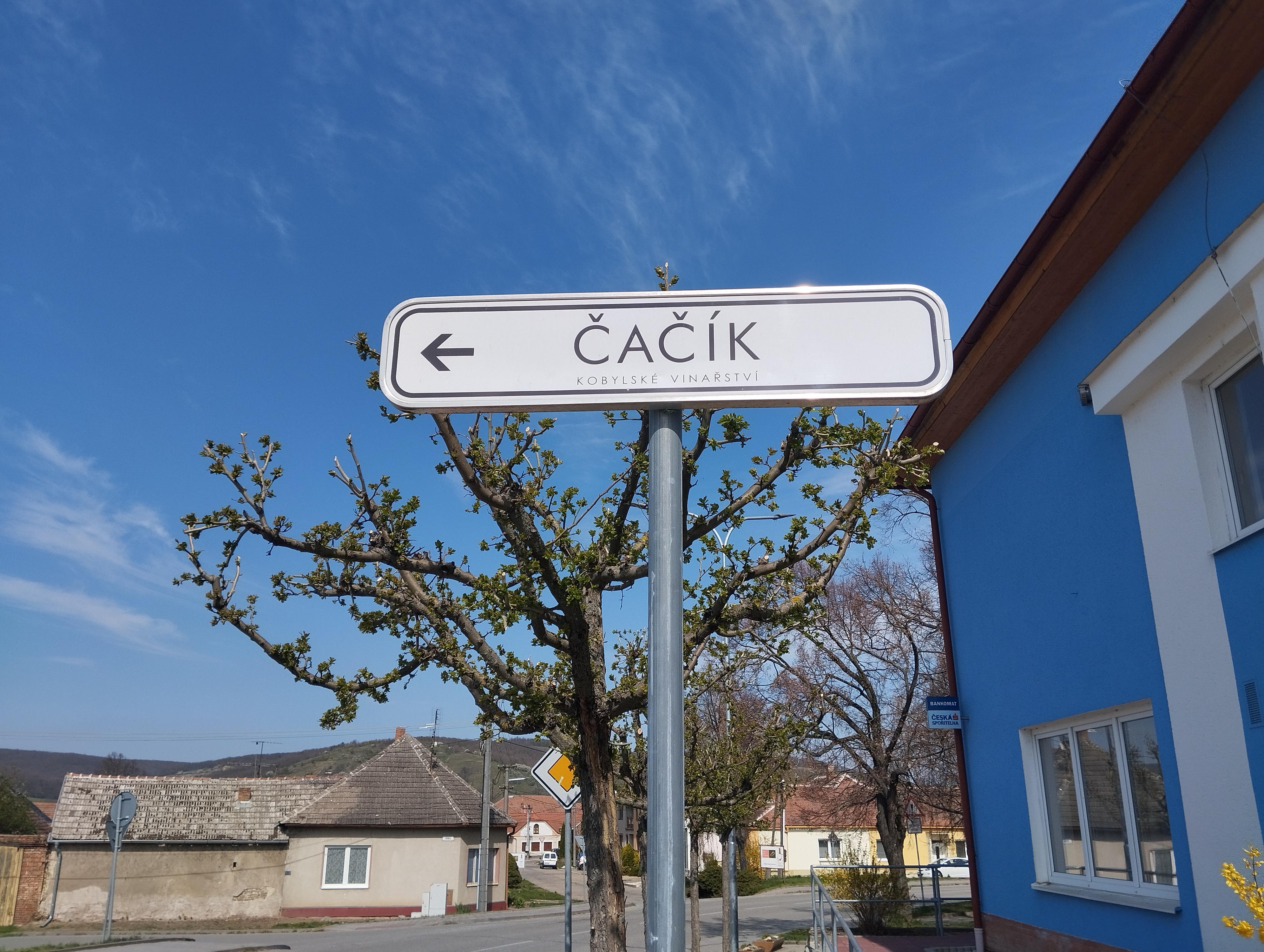 Čačík Kobylské vinařství foto 2