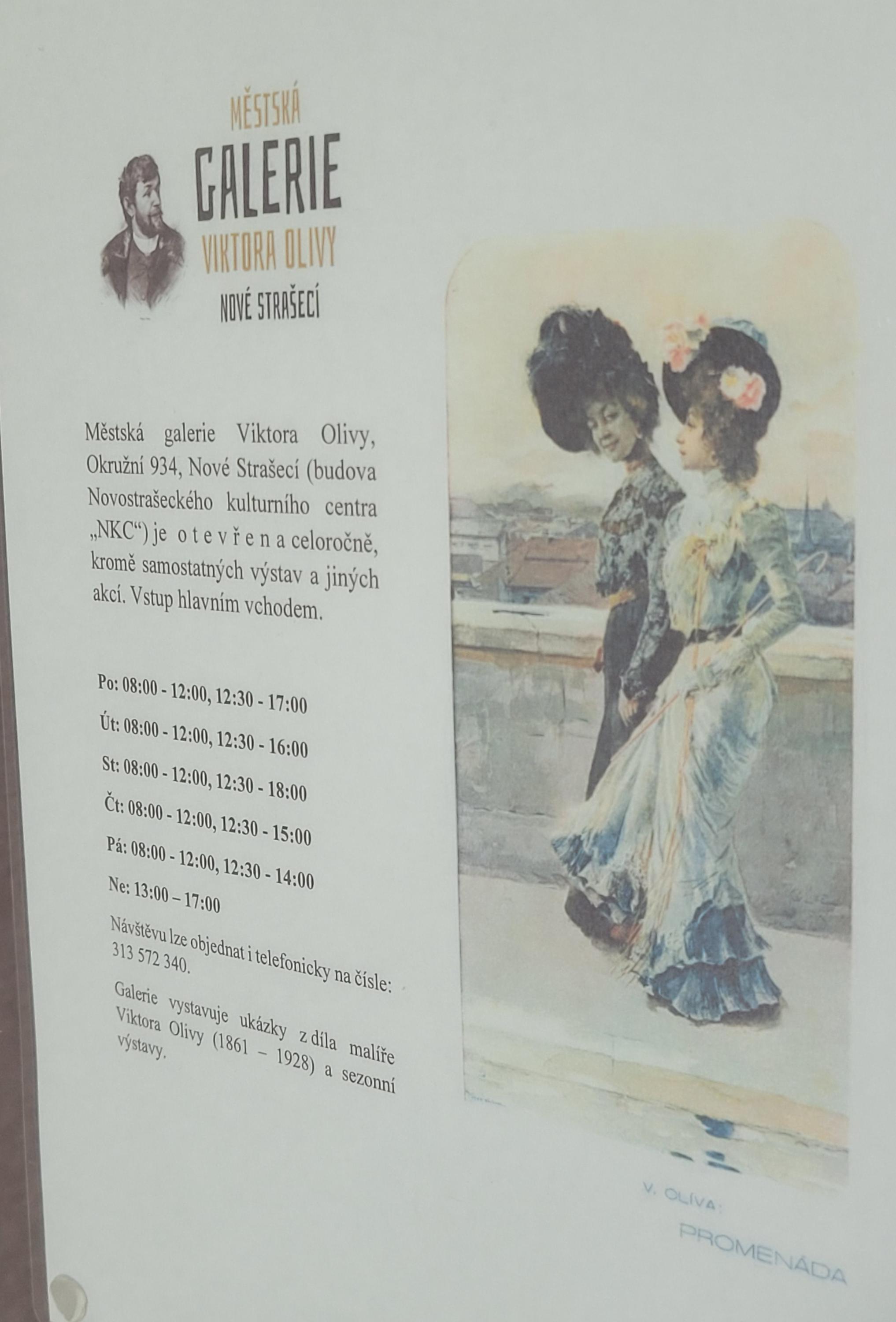 Kulturní zařízení Nové Strašecí foto 3