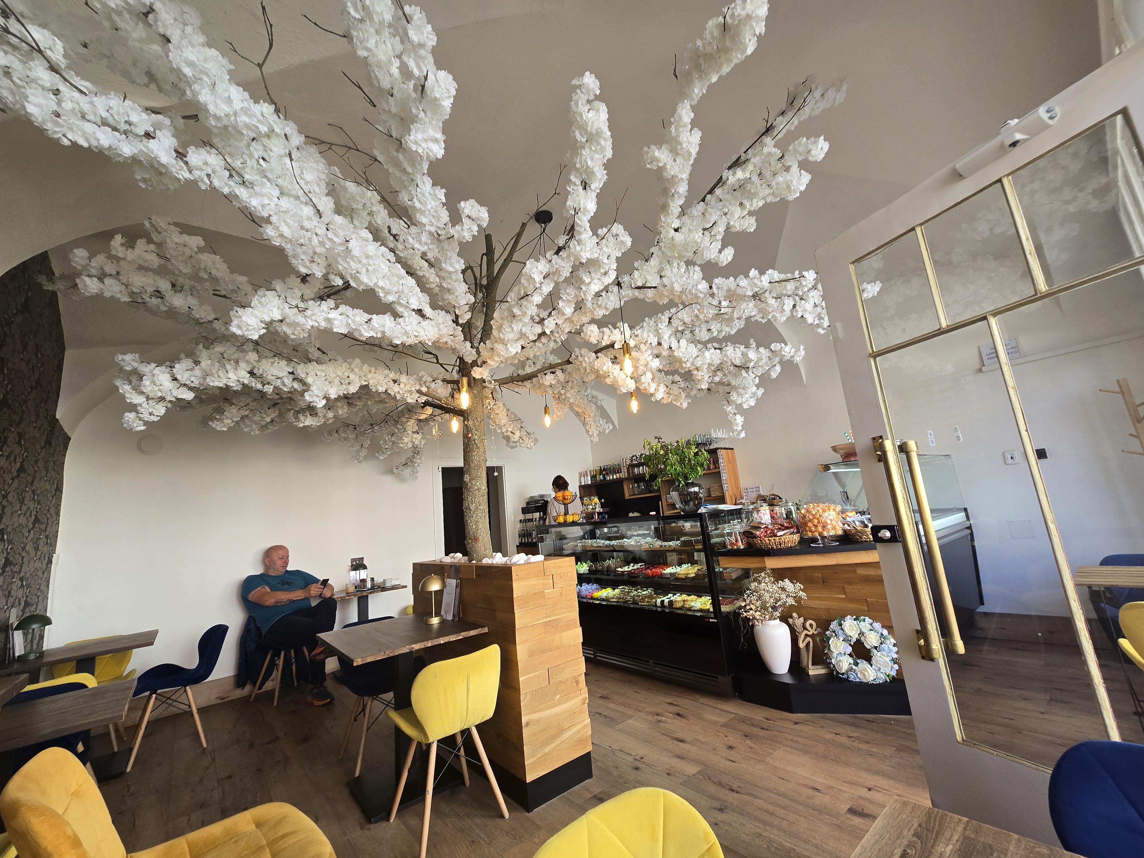 Cukrárna Pod Rozkvetlým Stromem foto 6